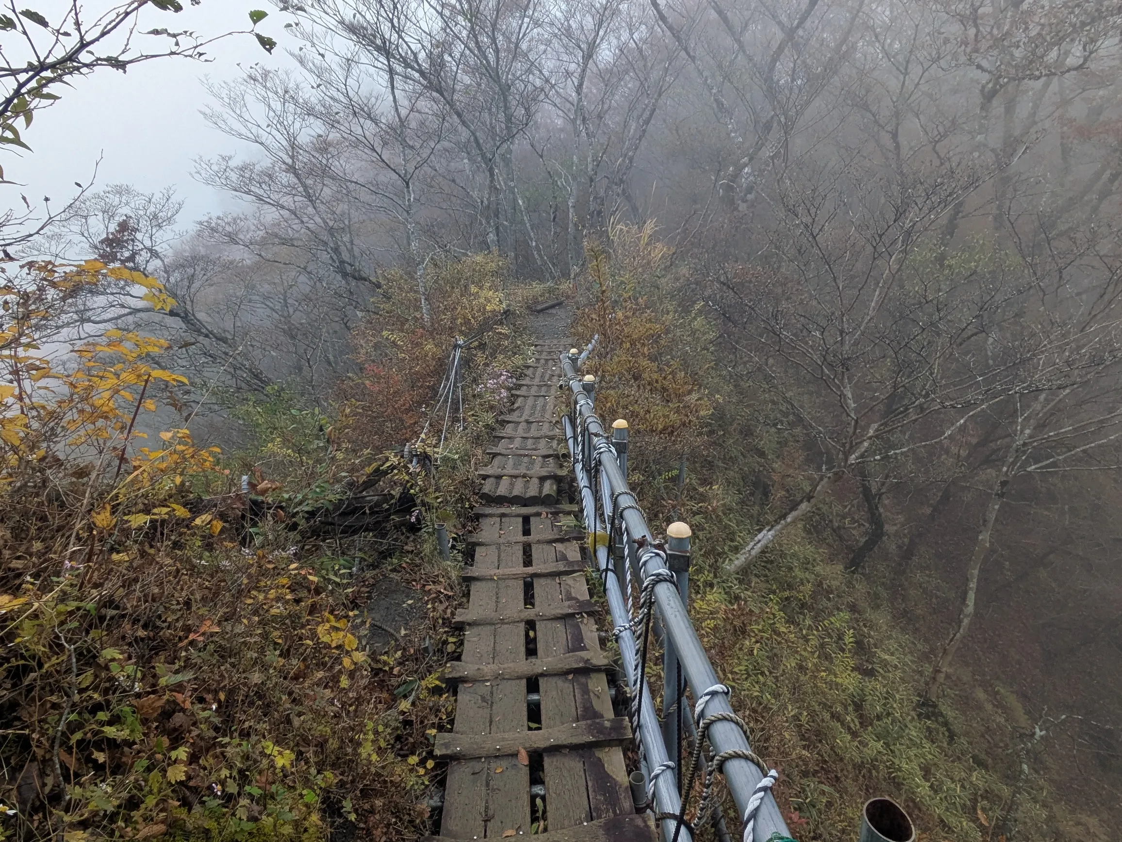 たむら鍼灸整骨院のイメージ