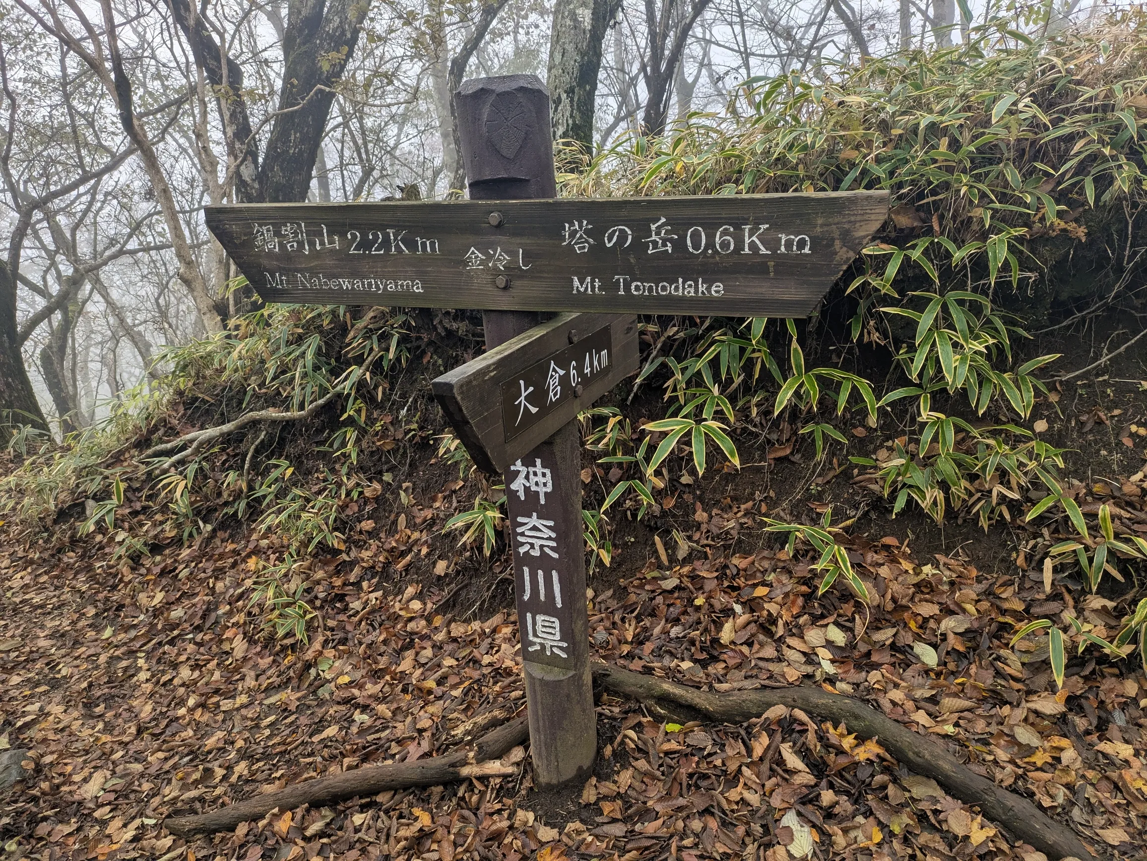 たむら鍼灸整骨院のイメージ