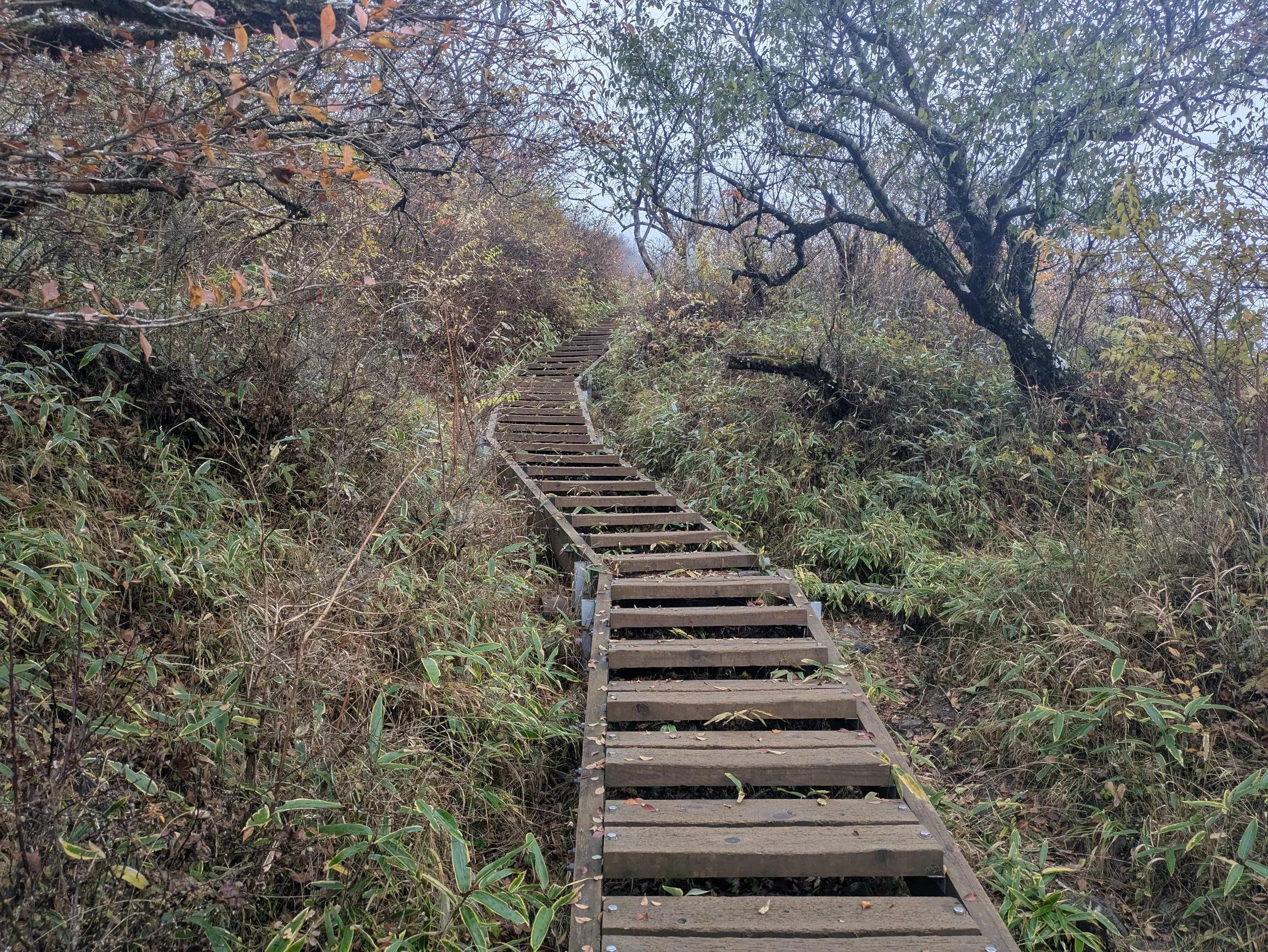 たむら鍼灸整骨院のイメージ