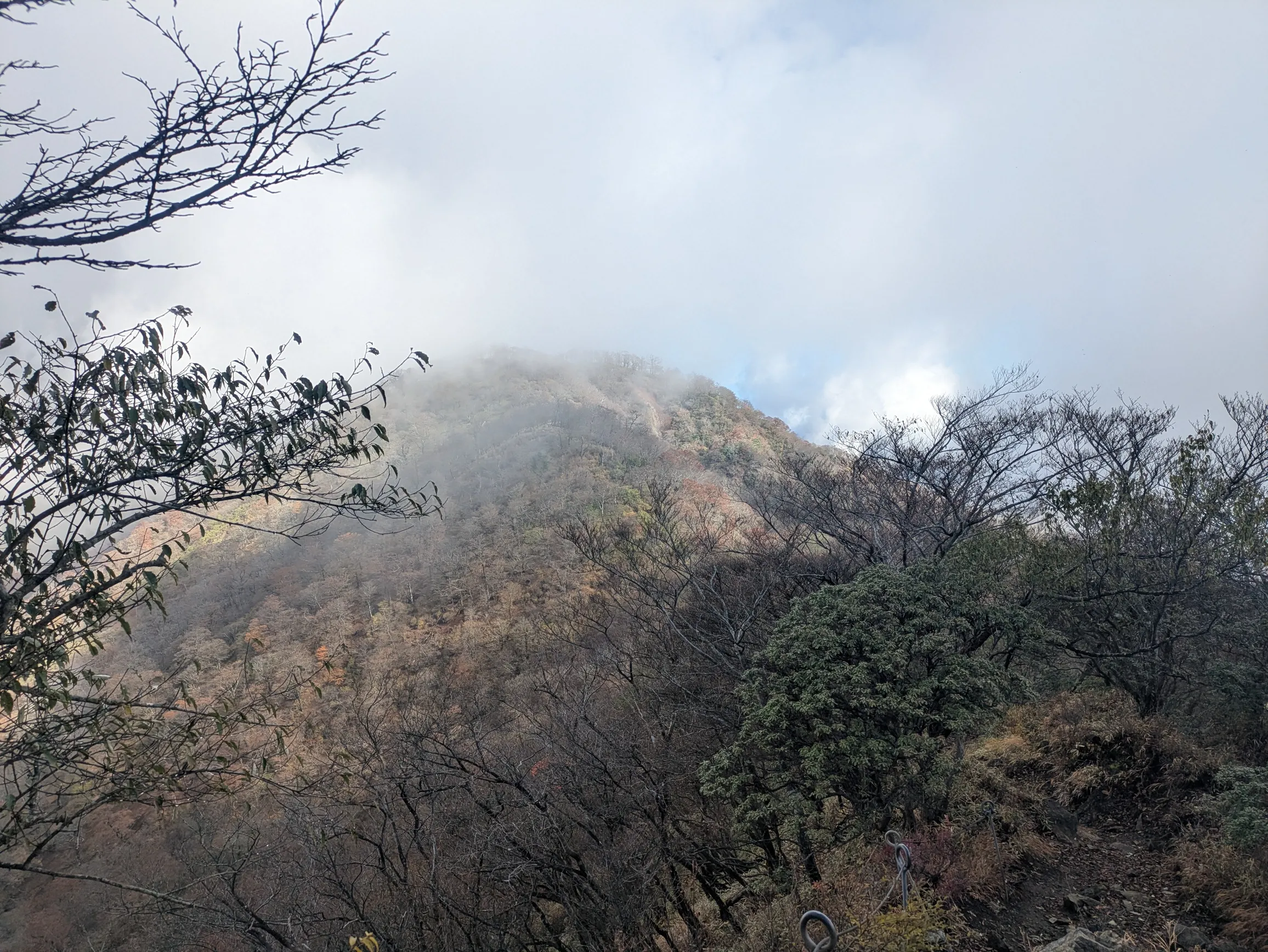 たむら鍼灸整骨院のイメージ