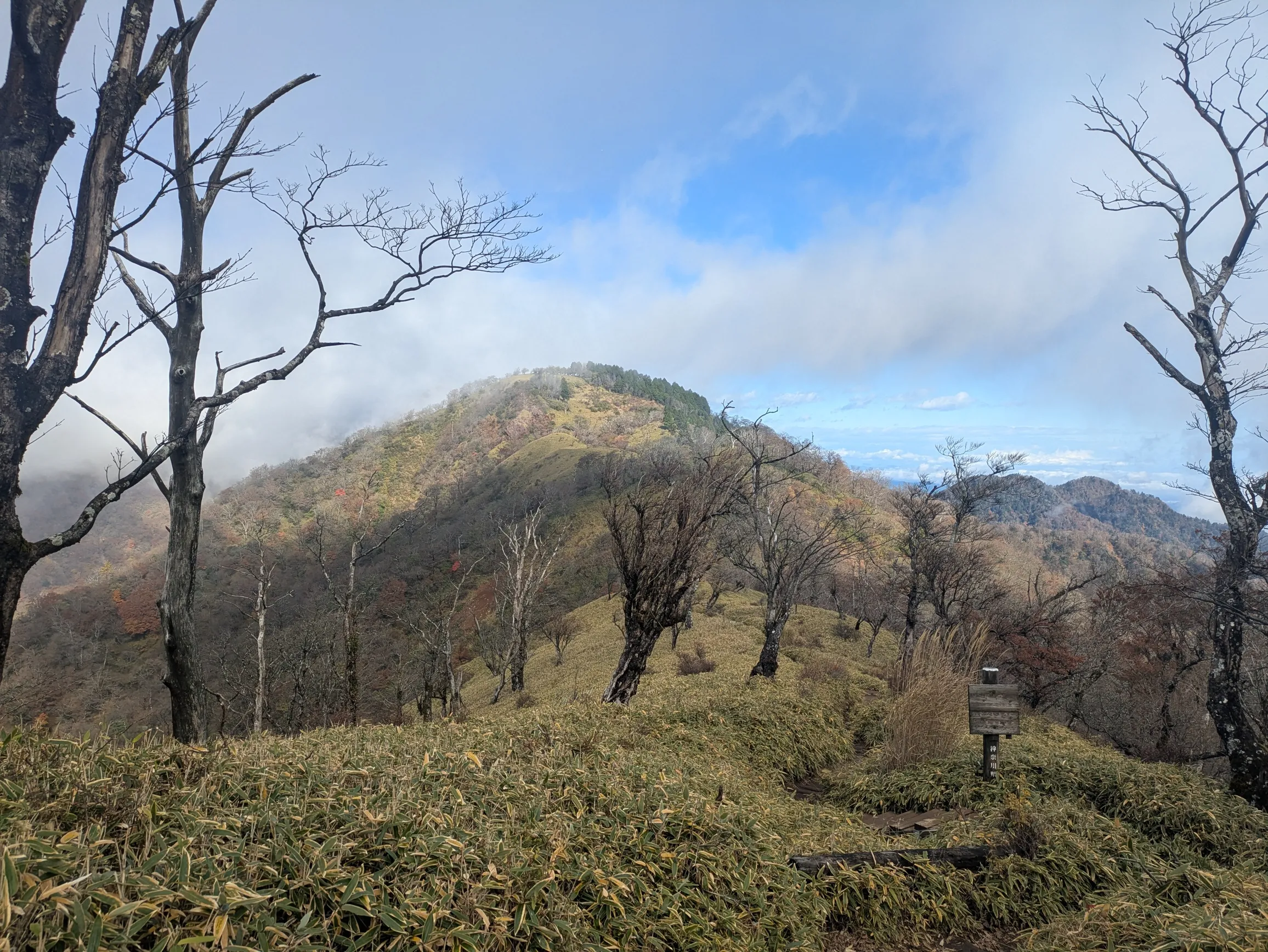 たむら鍼灸整骨院のイメージ
