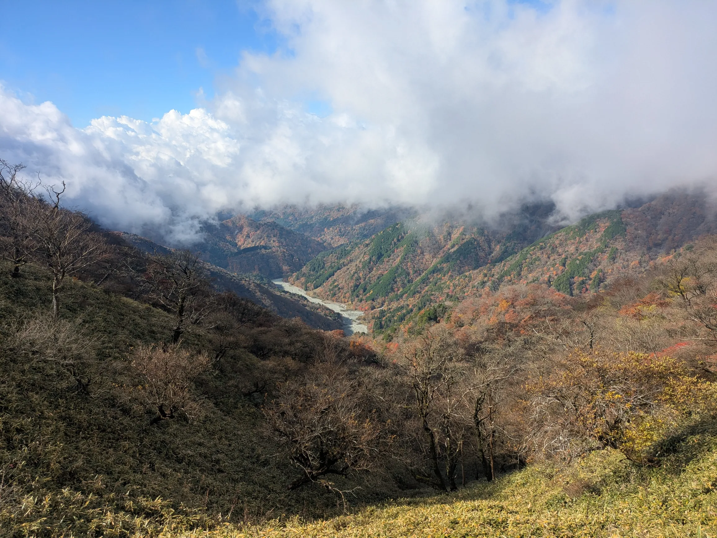 たむら鍼灸整骨院のイメージ