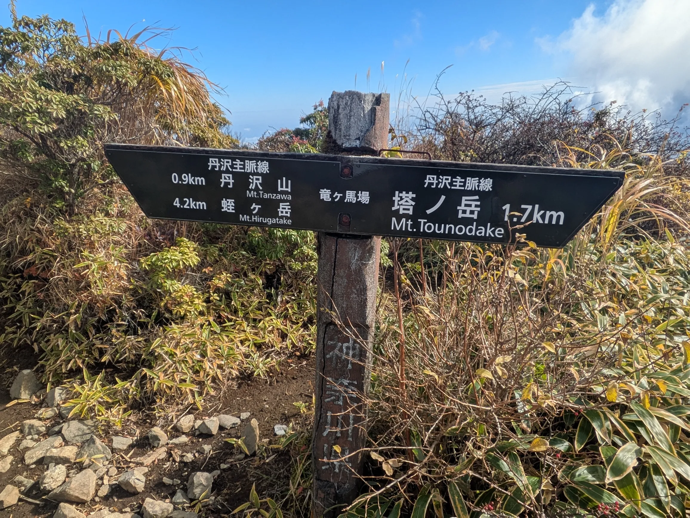 たむら鍼灸整骨院のイメージ