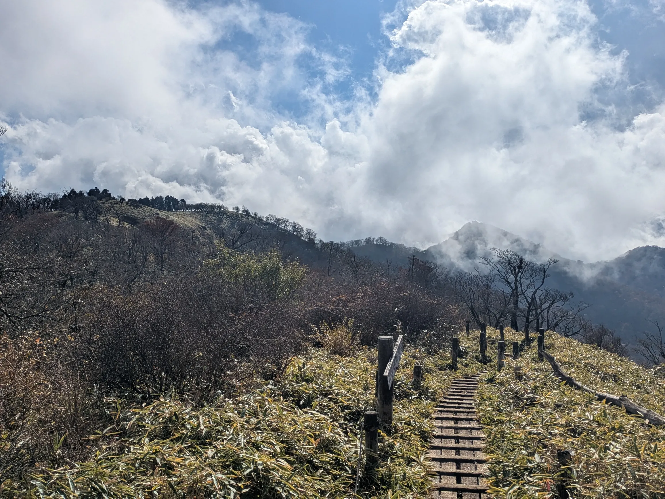 たむら鍼灸整骨院のイメージ