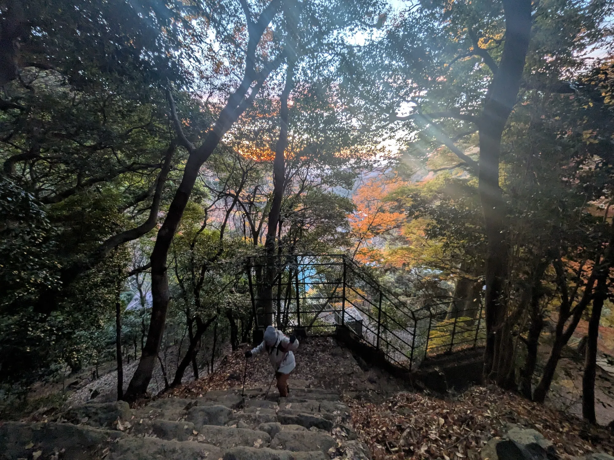 たむら鍼灸整骨院のイメージ