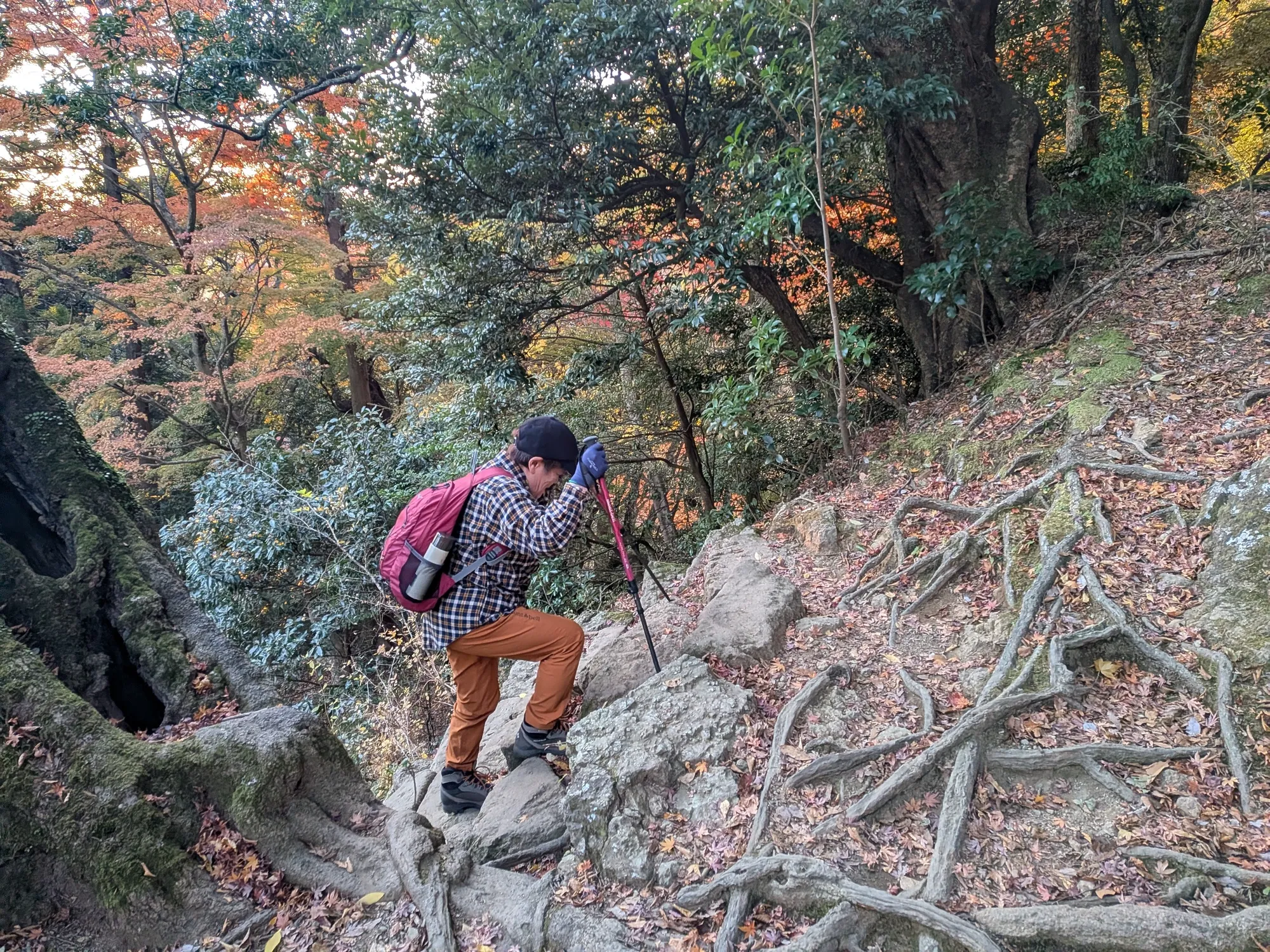 たむら鍼灸整骨院のイメージ