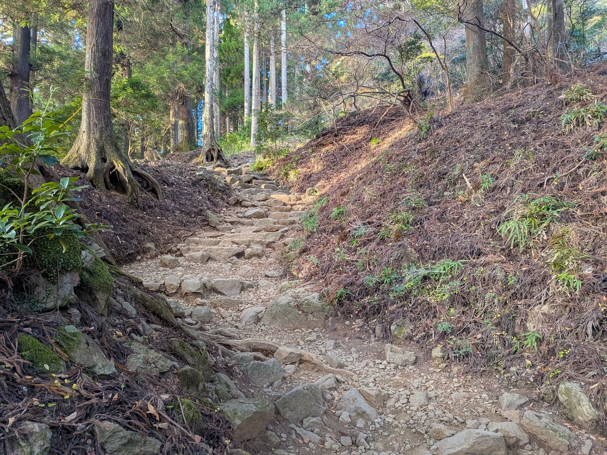 たむら鍼灸整骨院のイメージ