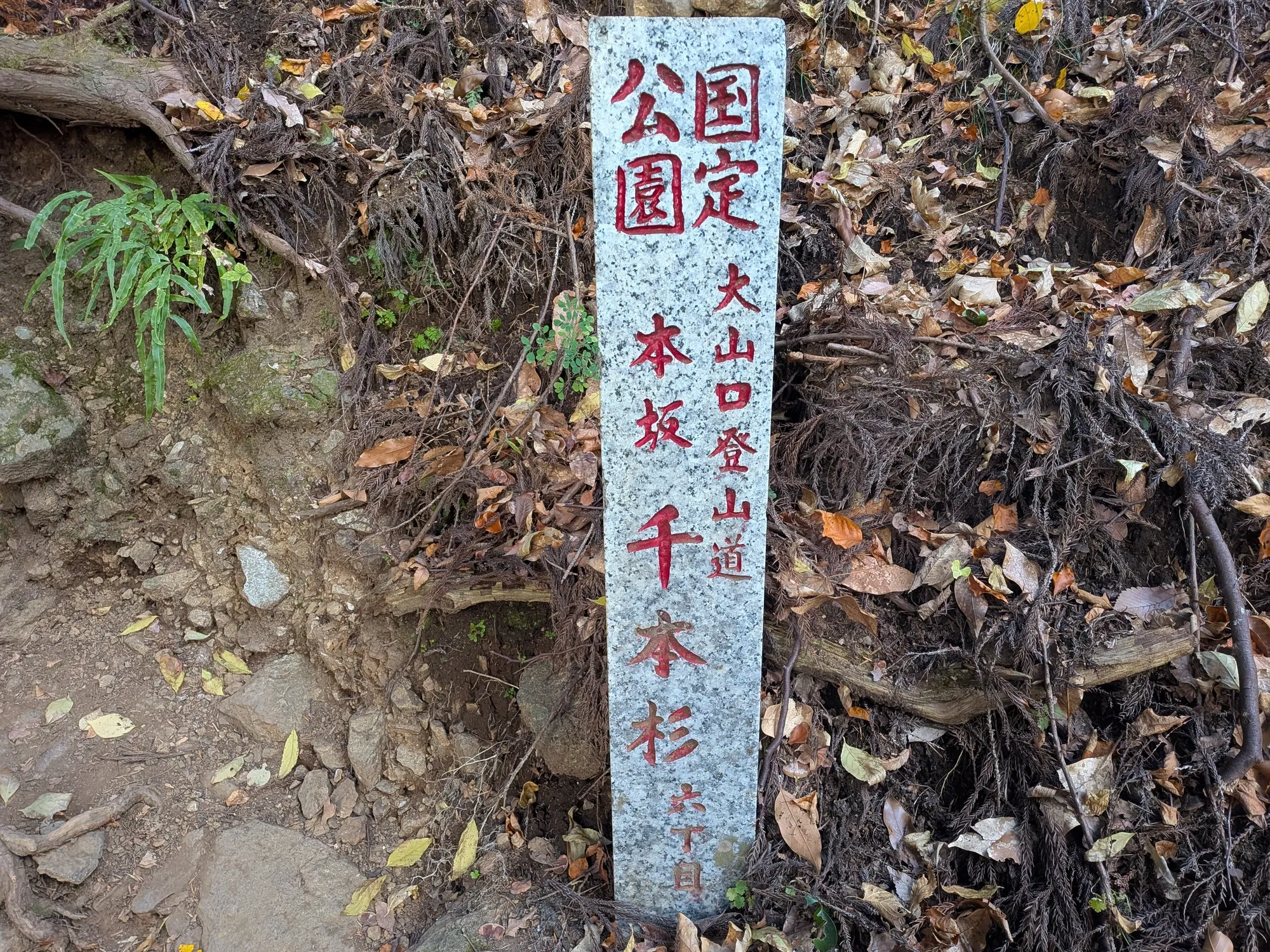 たむら鍼灸整骨院のイメージ