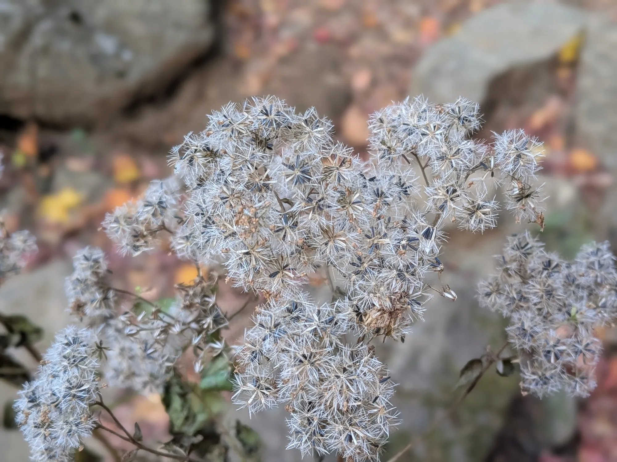 たむら鍼灸整骨院のイメージ