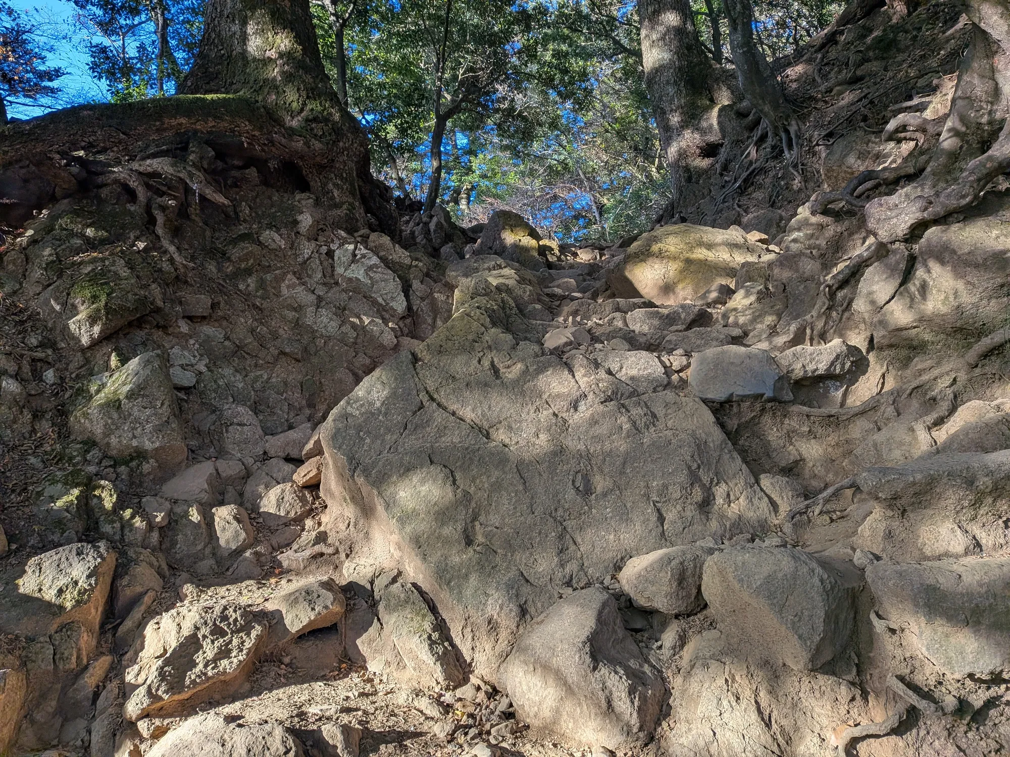 たむら鍼灸整骨院のイメージ