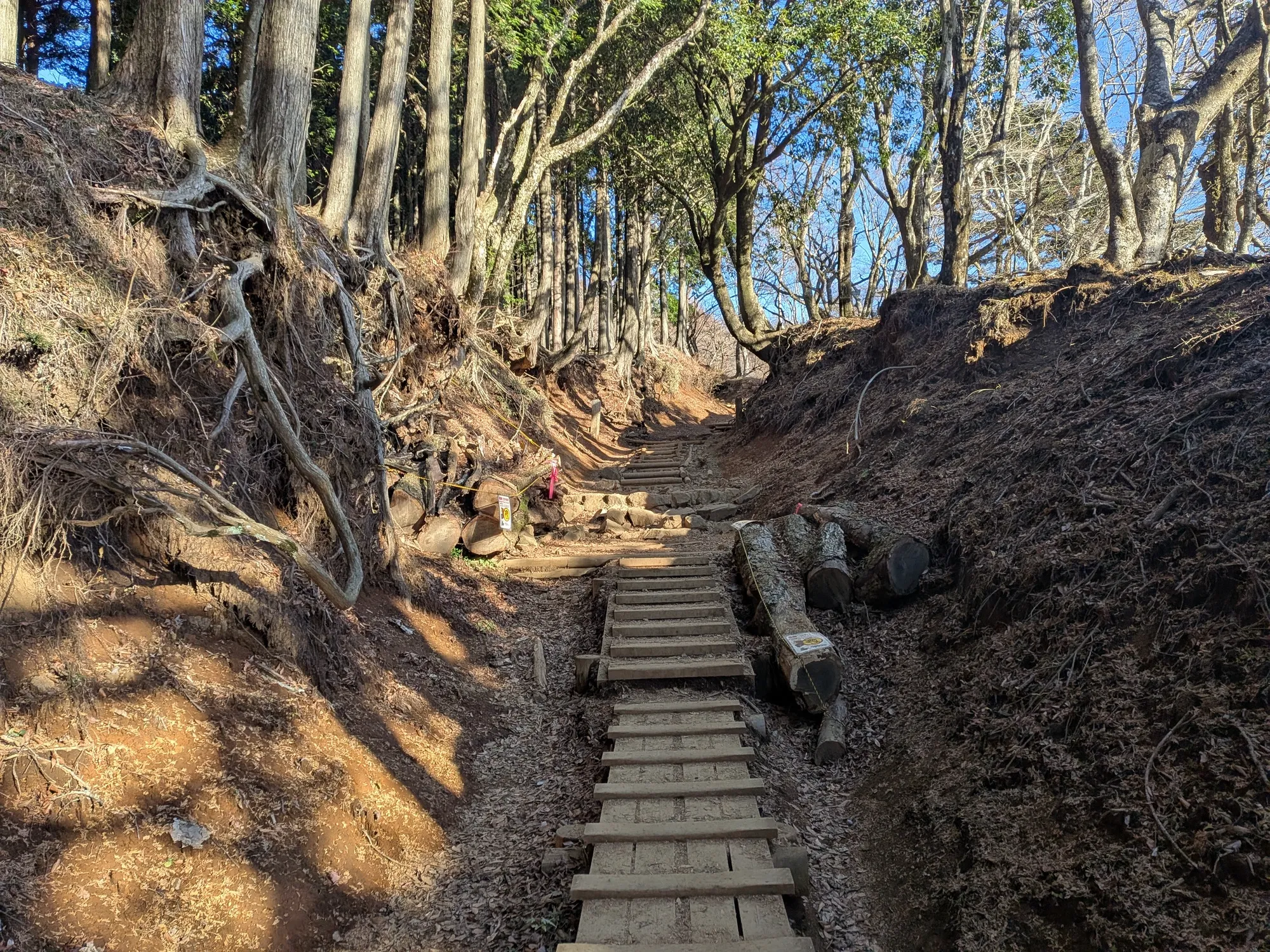 たむら鍼灸整骨院のイメージ