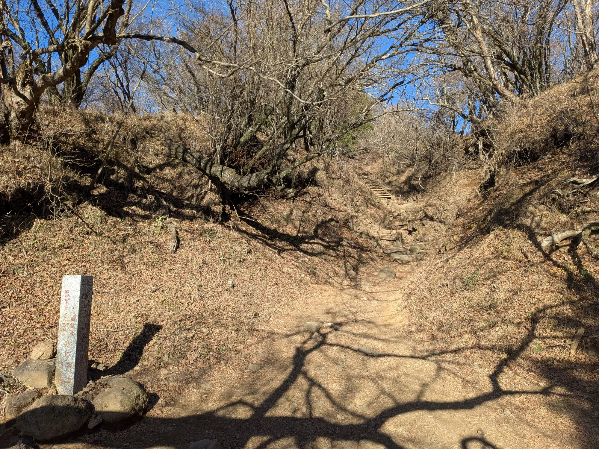 たむら鍼灸整骨院のイメージ