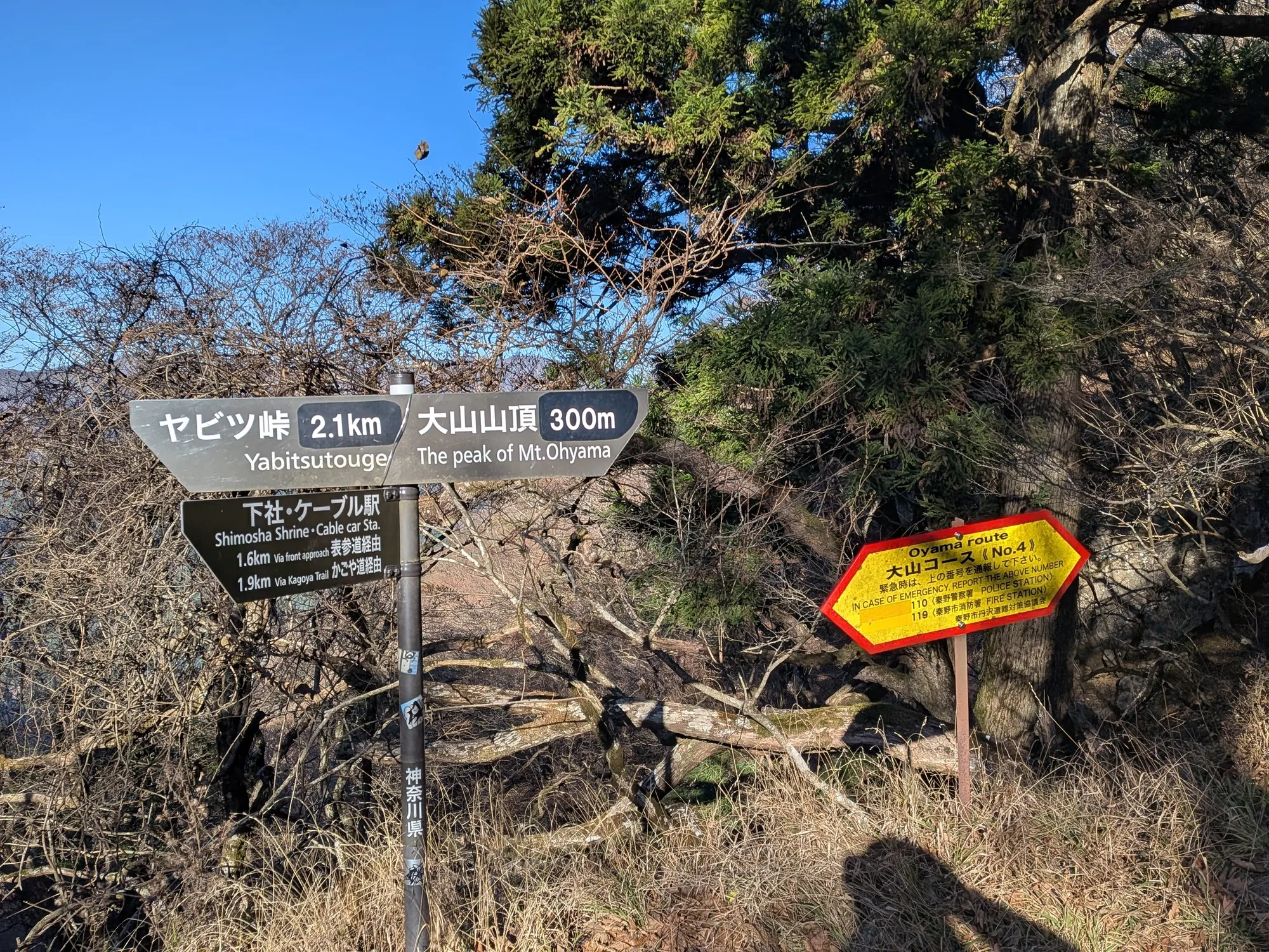 たむら鍼灸整骨院のイメージ