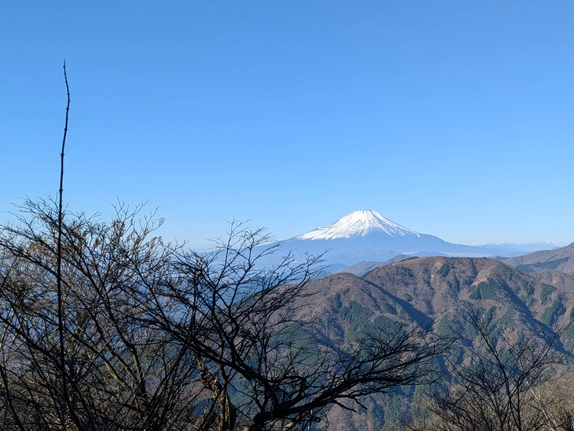 たむら鍼灸整骨院のイメージ