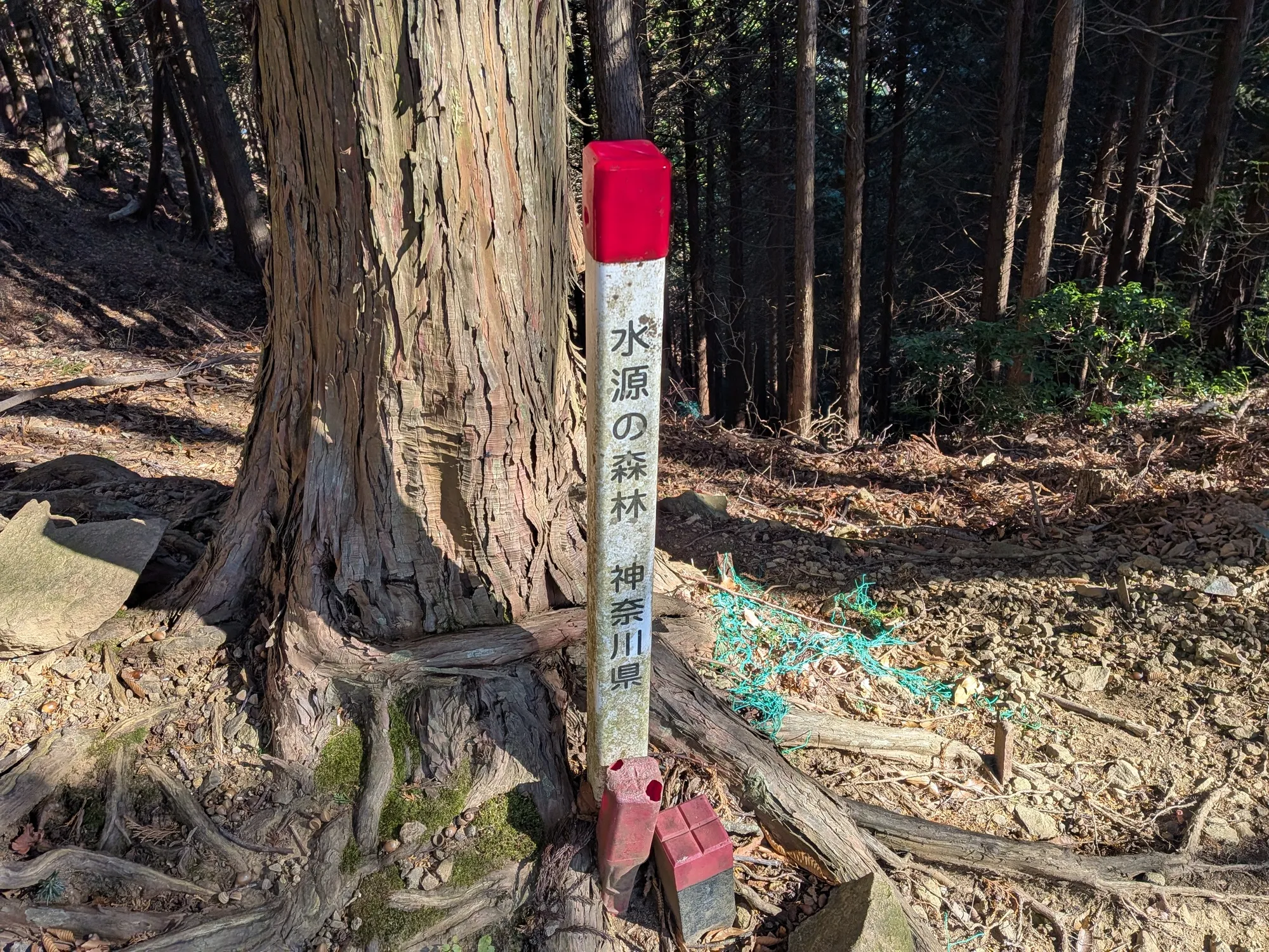 たむら鍼灸整骨院のイメージ