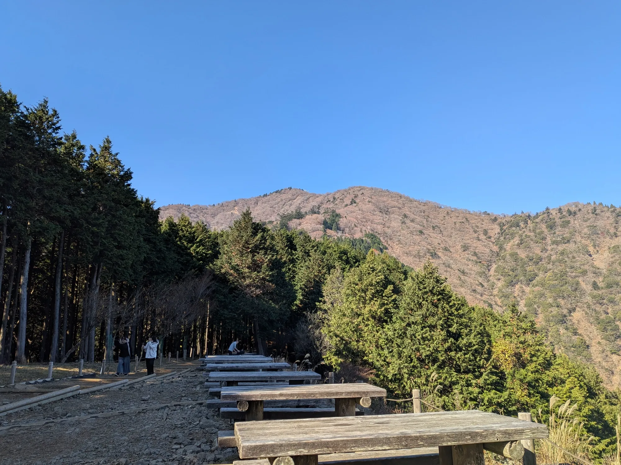 たむら鍼灸整骨院のイメージ