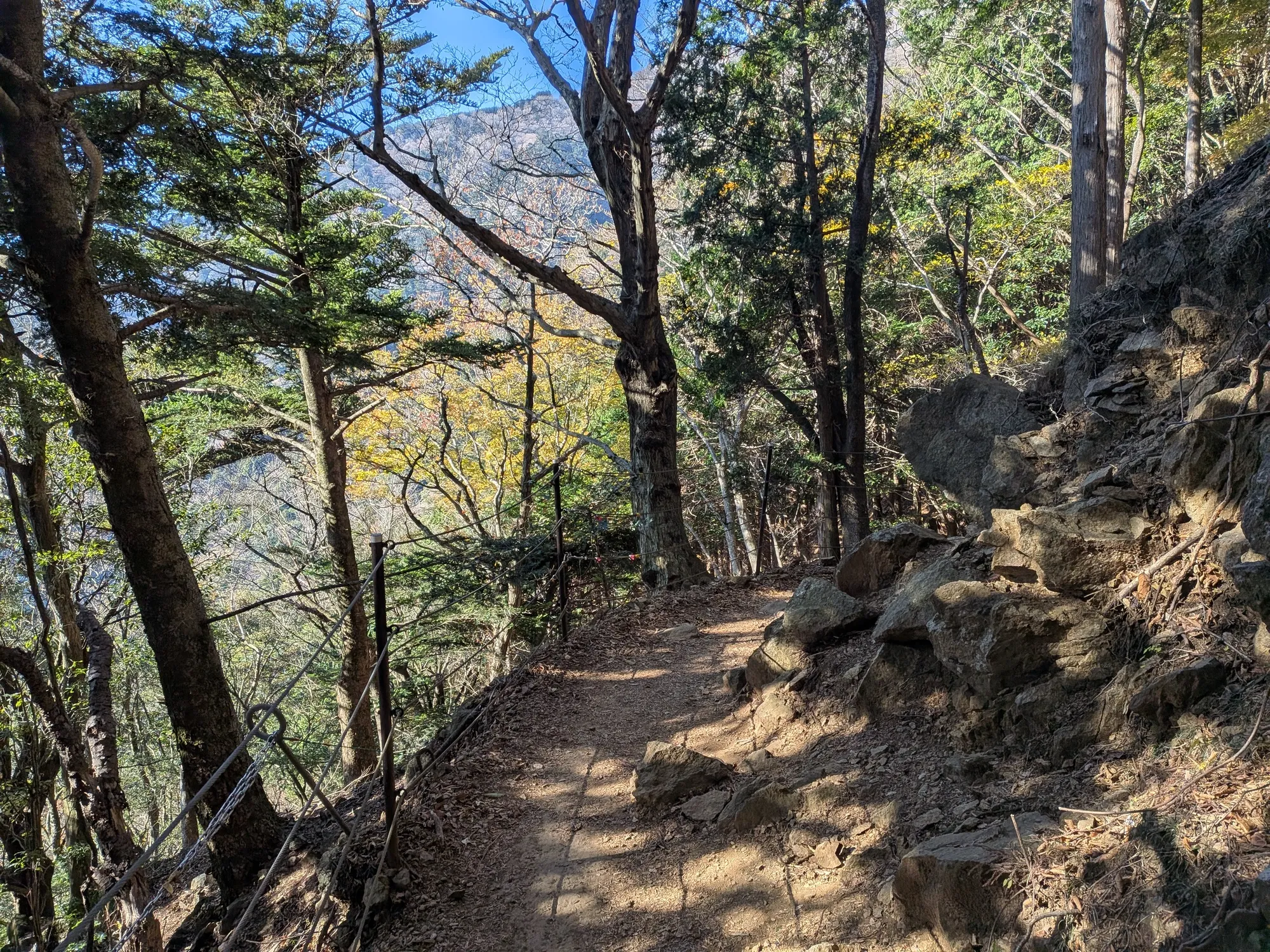 たむら鍼灸整骨院のイメージ