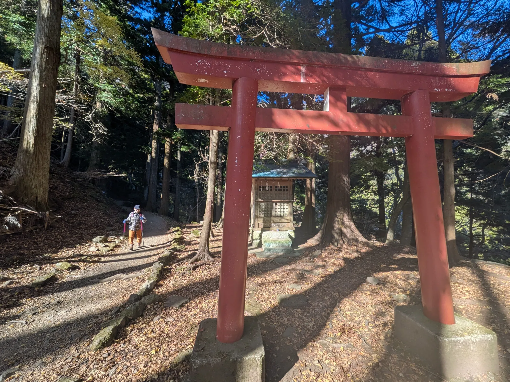 たむら鍼灸整骨院のイメージ