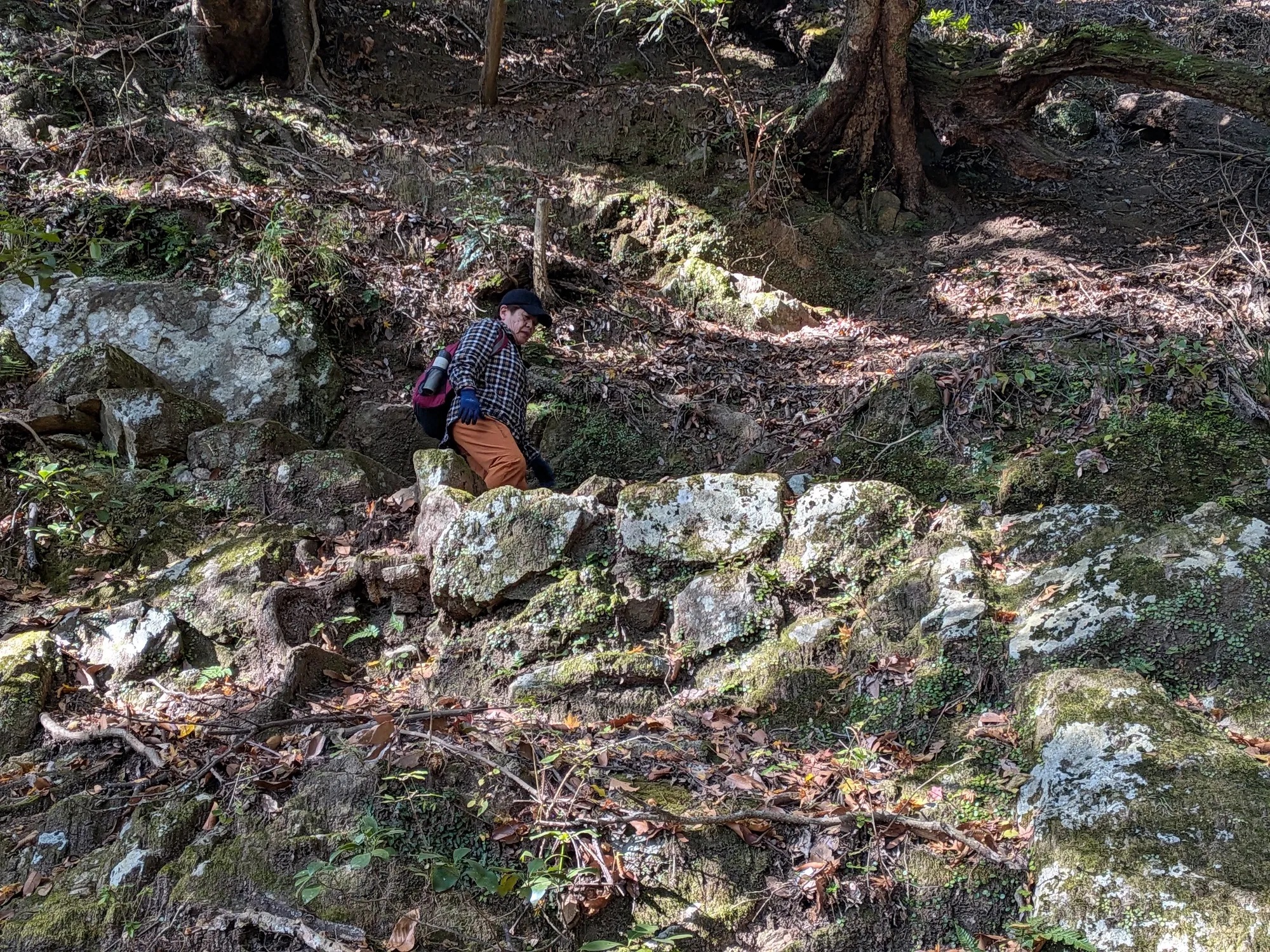 たむら鍼灸整骨院のイメージ
