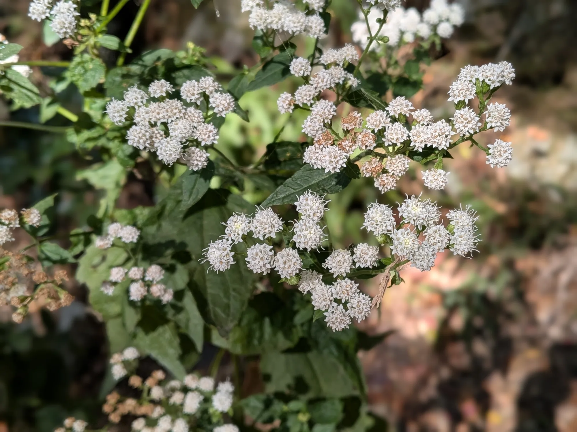 たむら鍼灸整骨院のイメージ