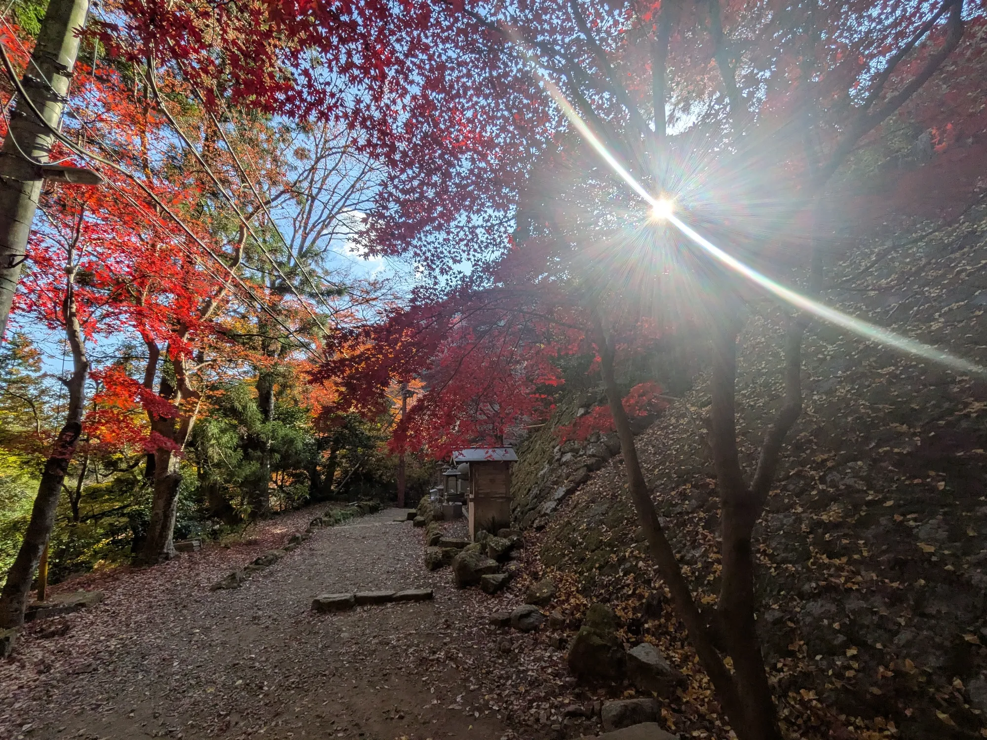 たむら鍼灸整骨院のイメージ