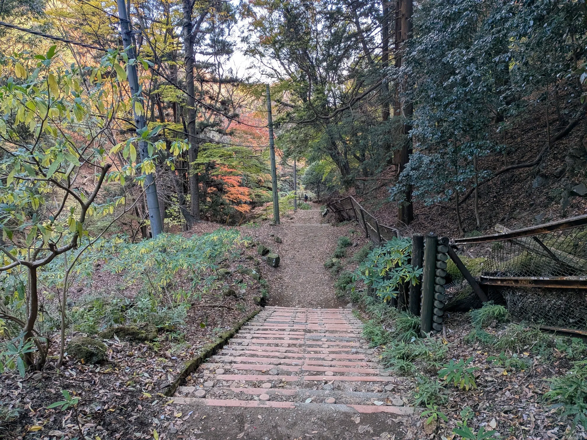 たむら鍼灸整骨院のイメージ