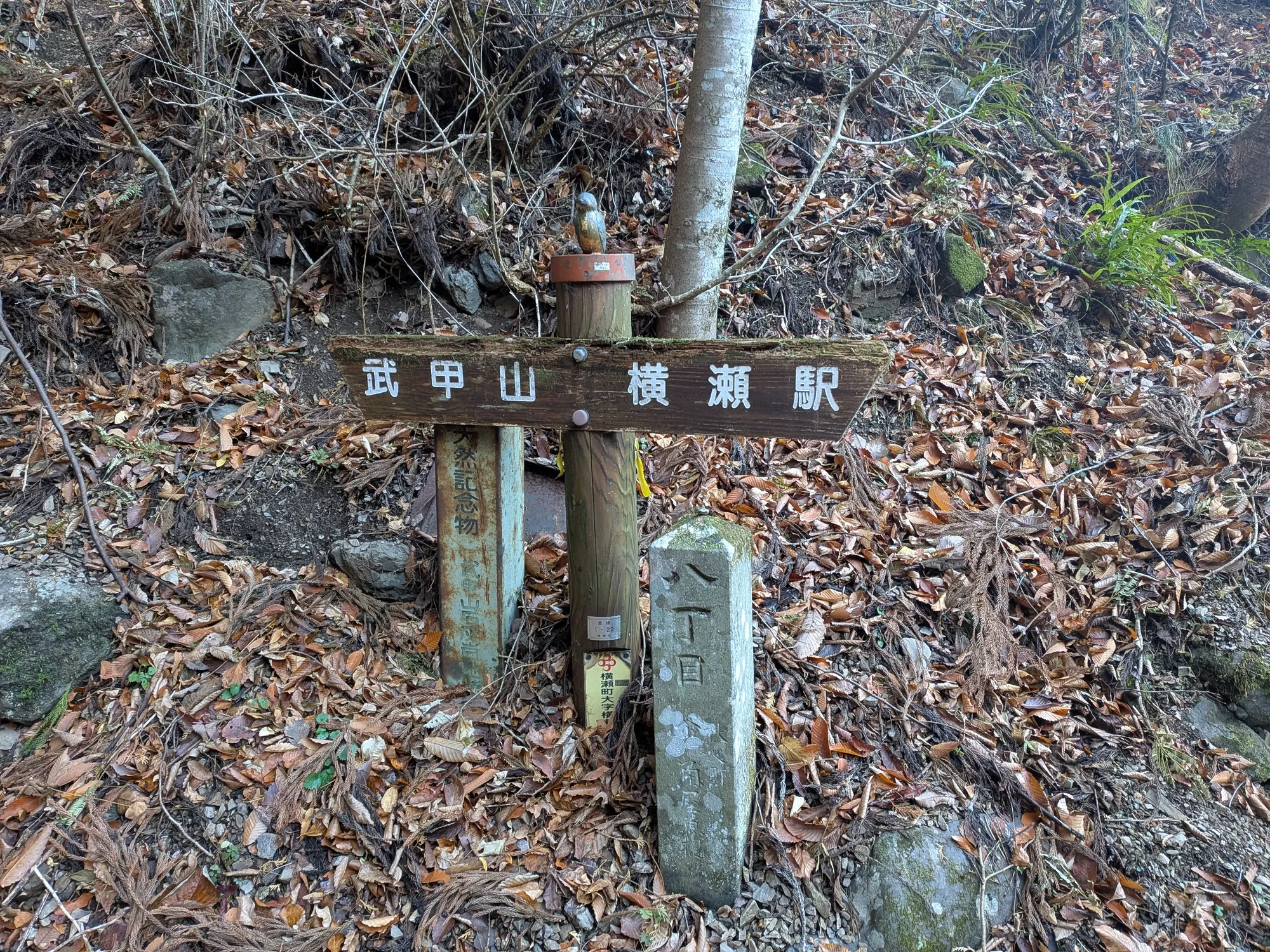 たむら鍼灸整骨院のイメージ