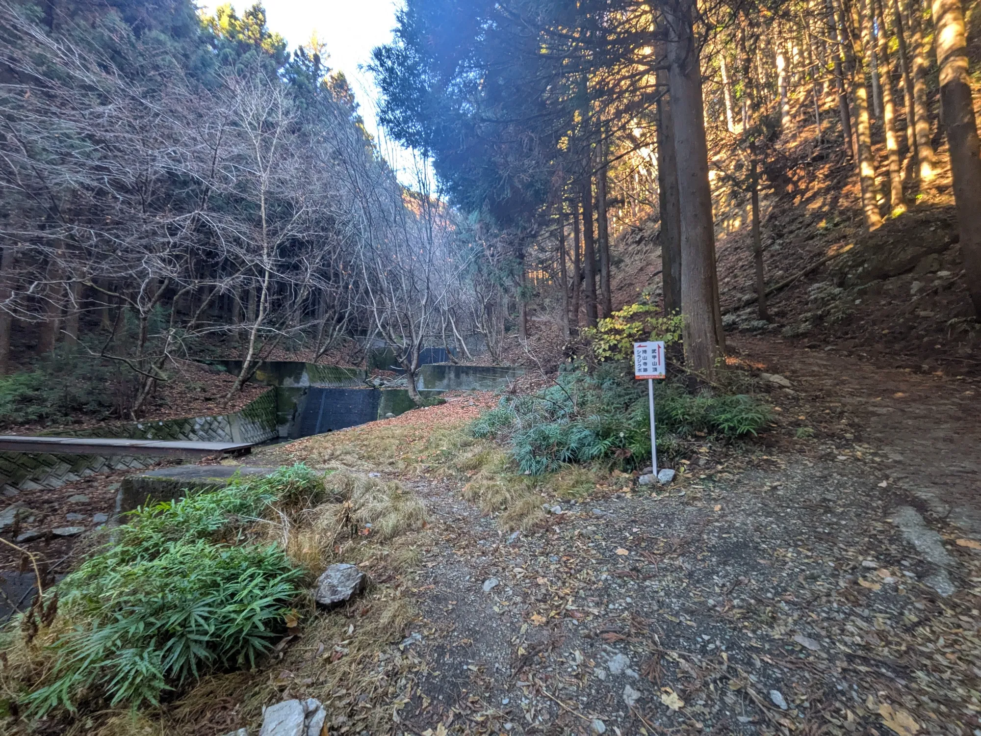 たむら鍼灸整骨院のイメージ