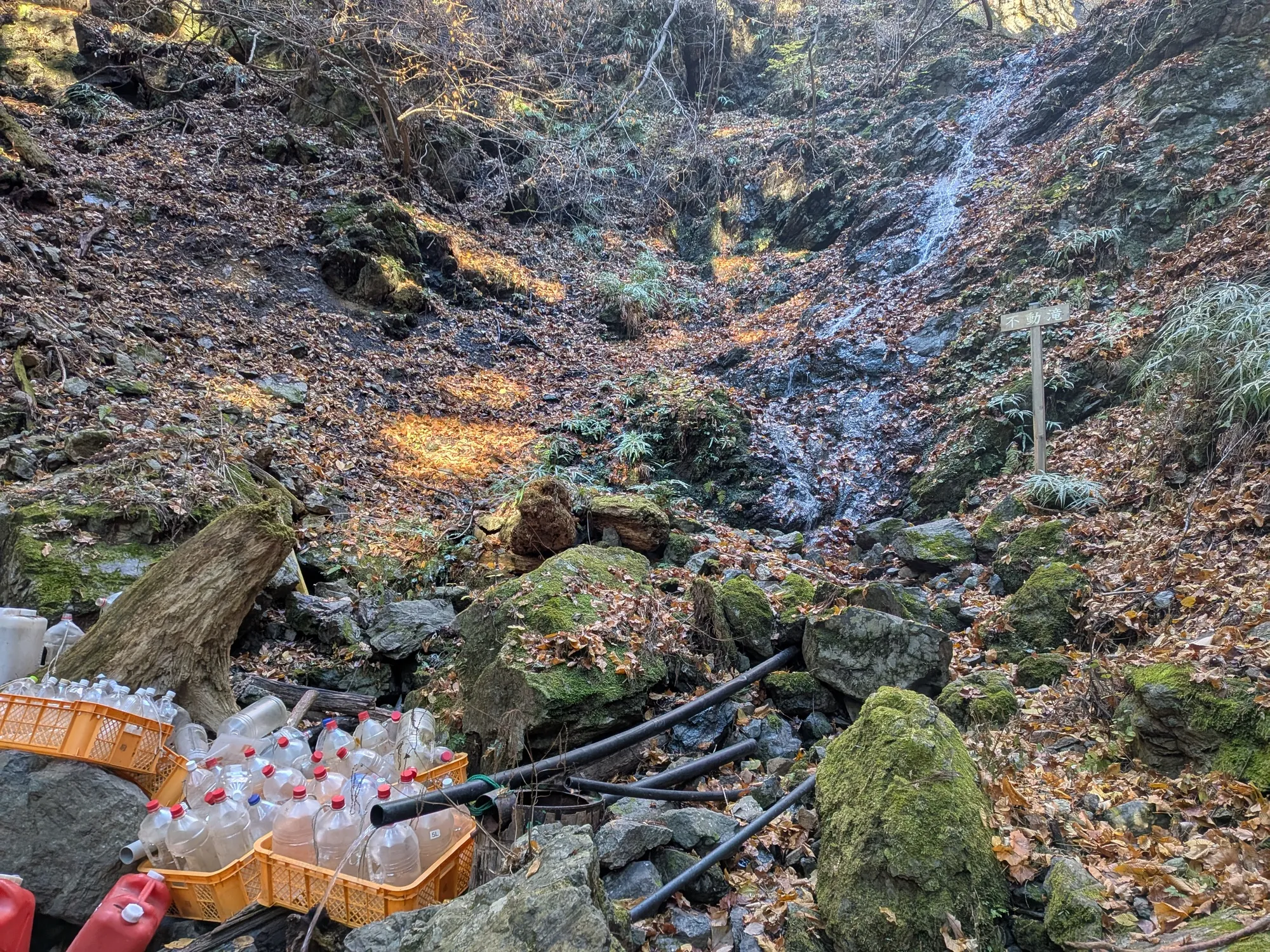 たむら鍼灸整骨院のイメージ