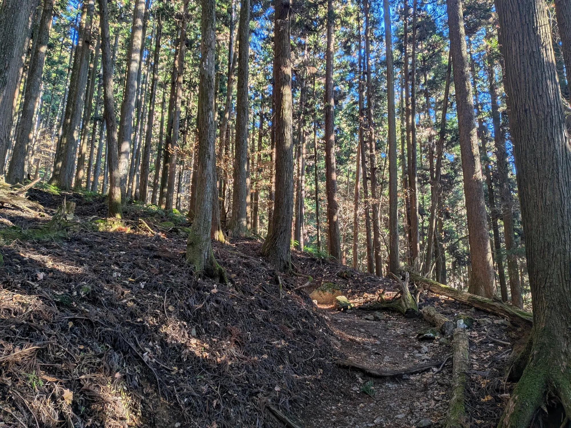 たむら鍼灸整骨院のイメージ