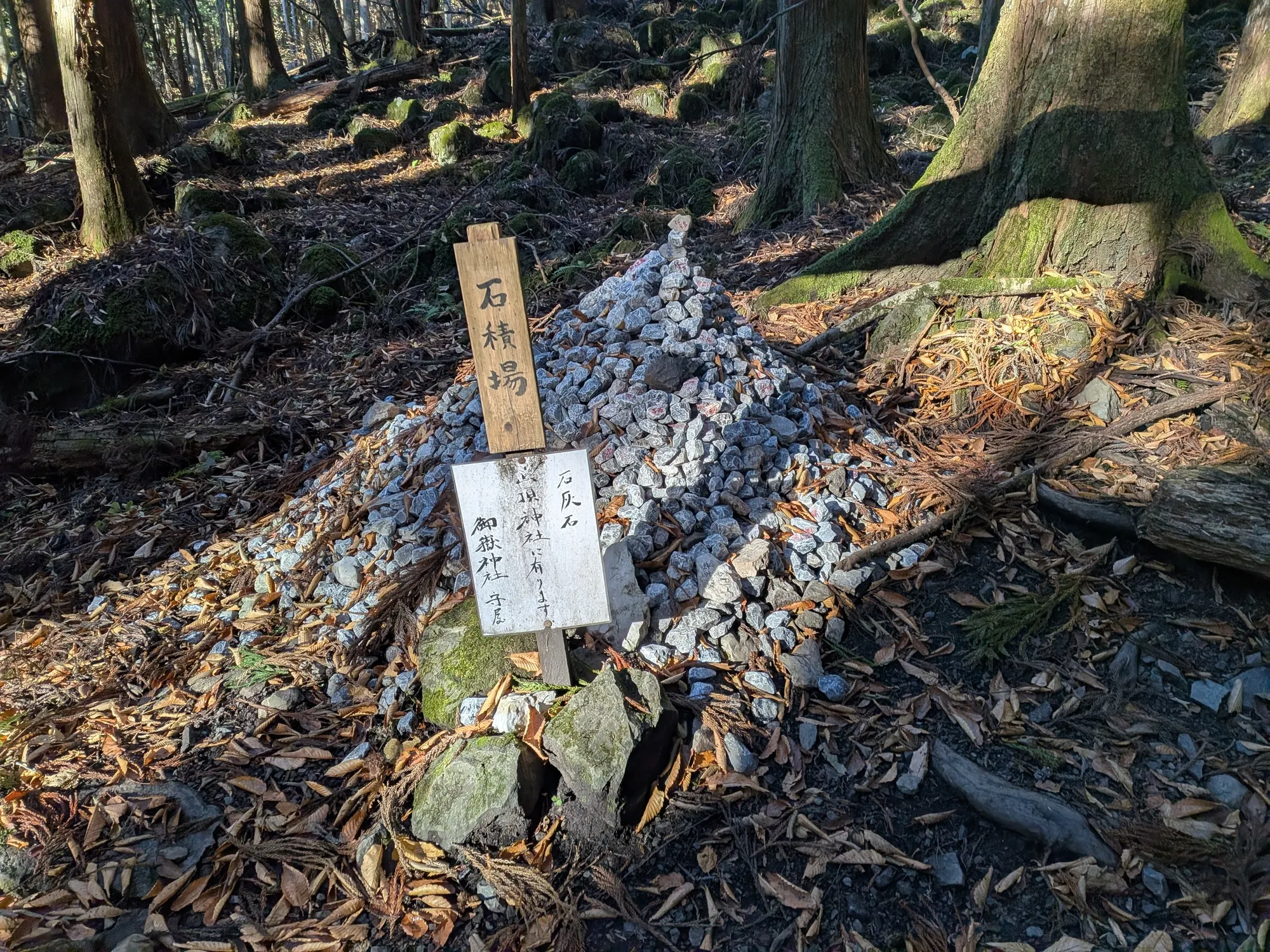 たむら鍼灸整骨院のイメージ