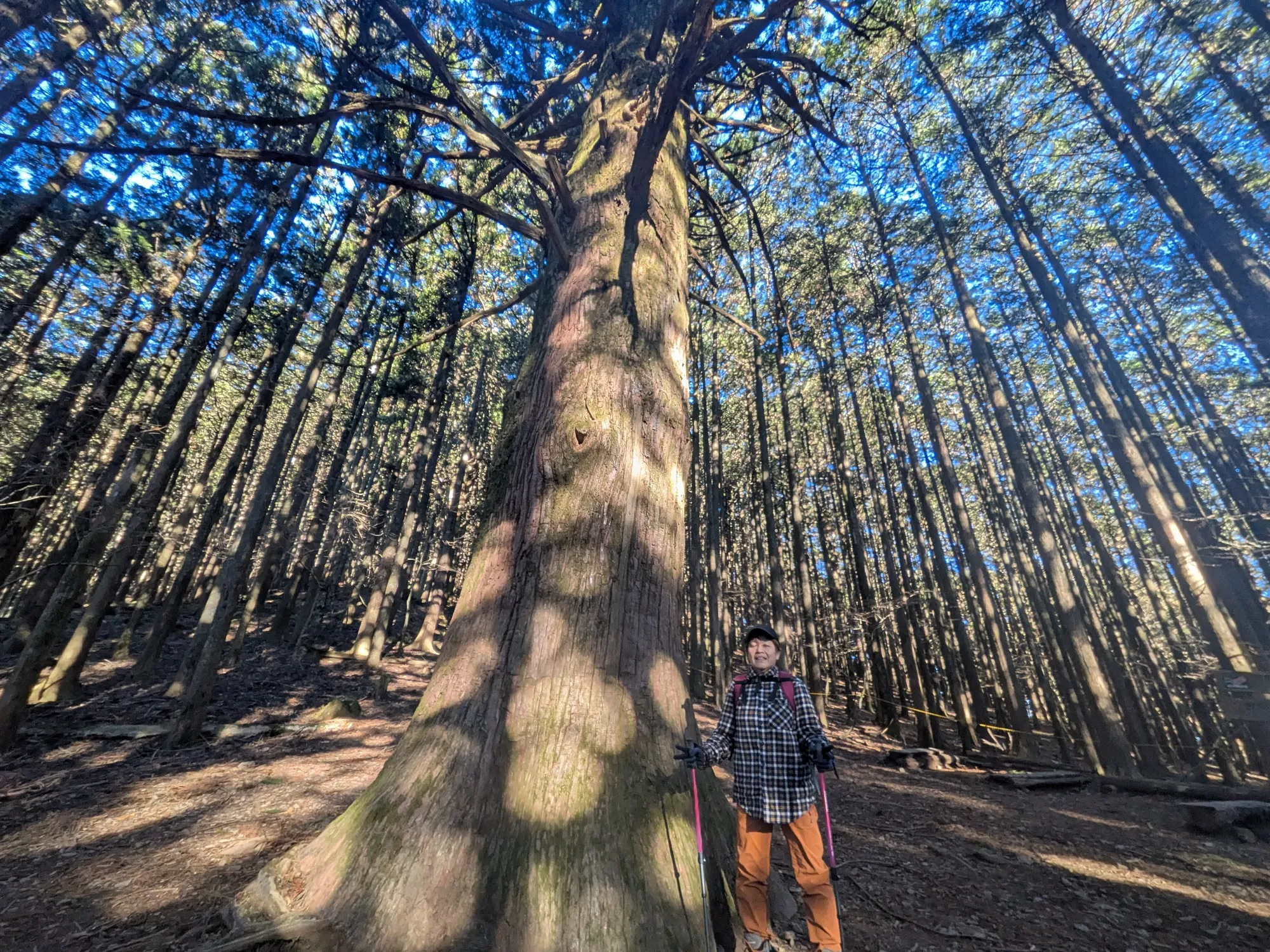 たむら鍼灸整骨院のイメージ