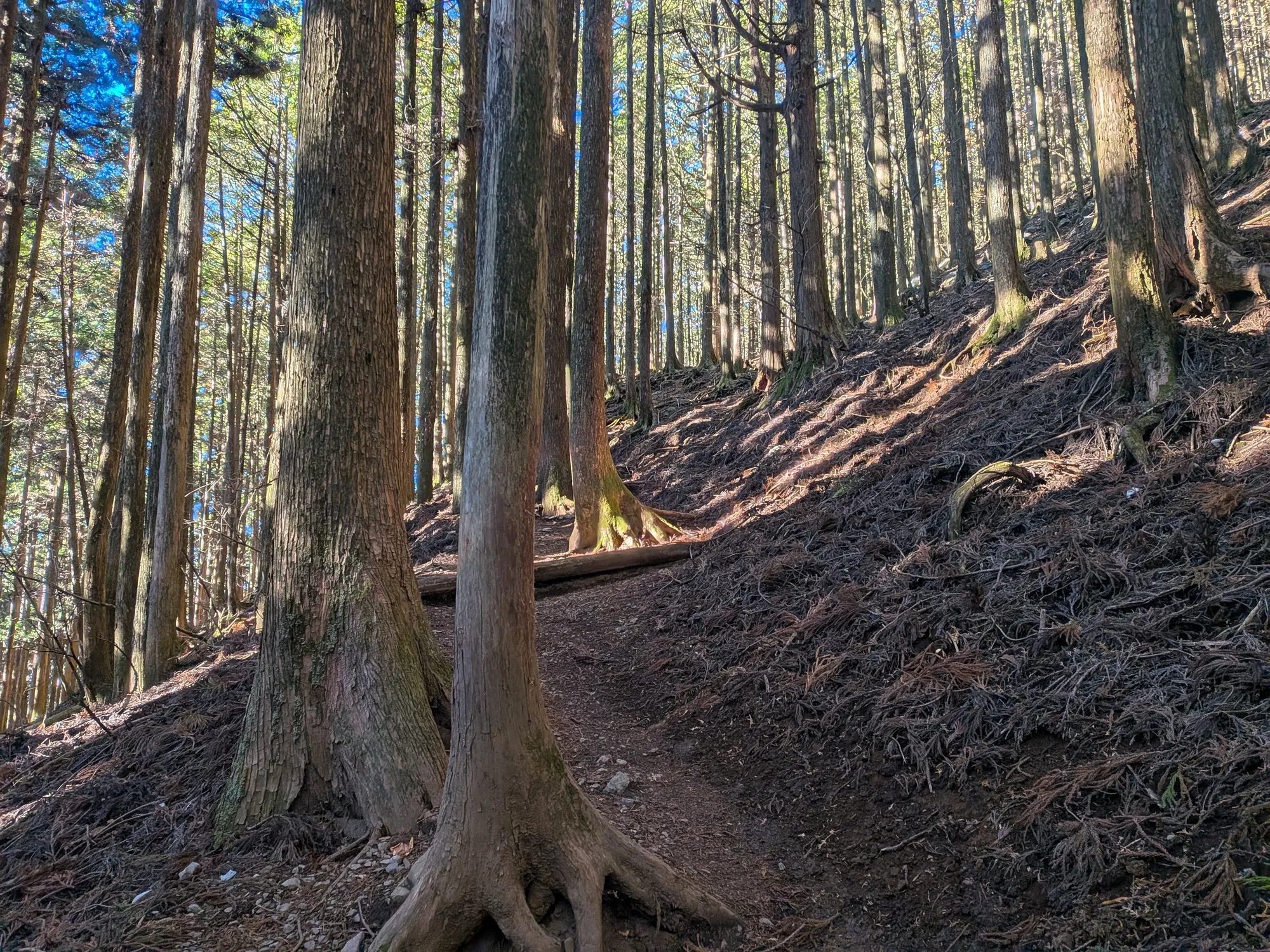 たむら鍼灸整骨院のイメージ