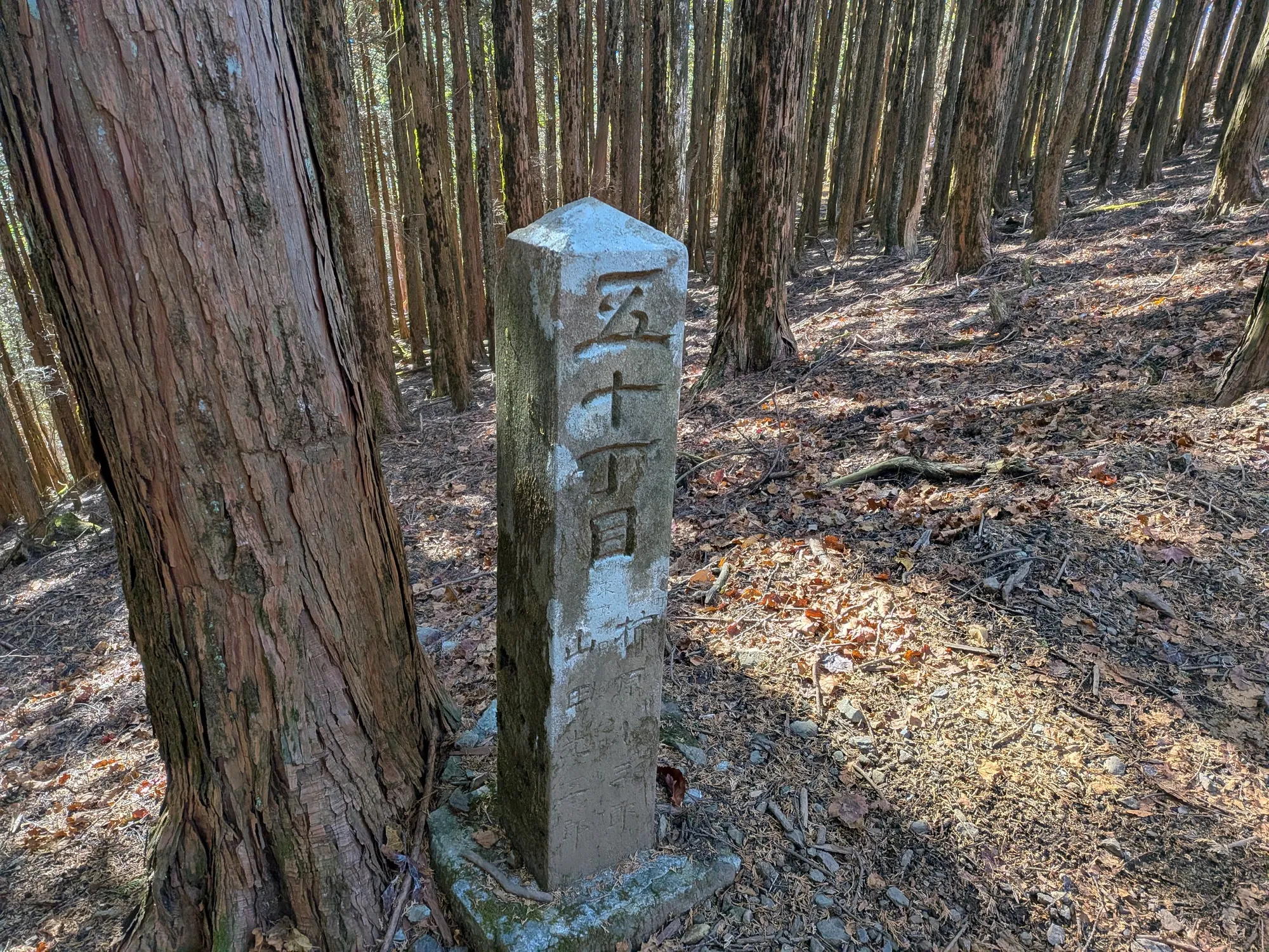 たむら鍼灸整骨院のイメージ