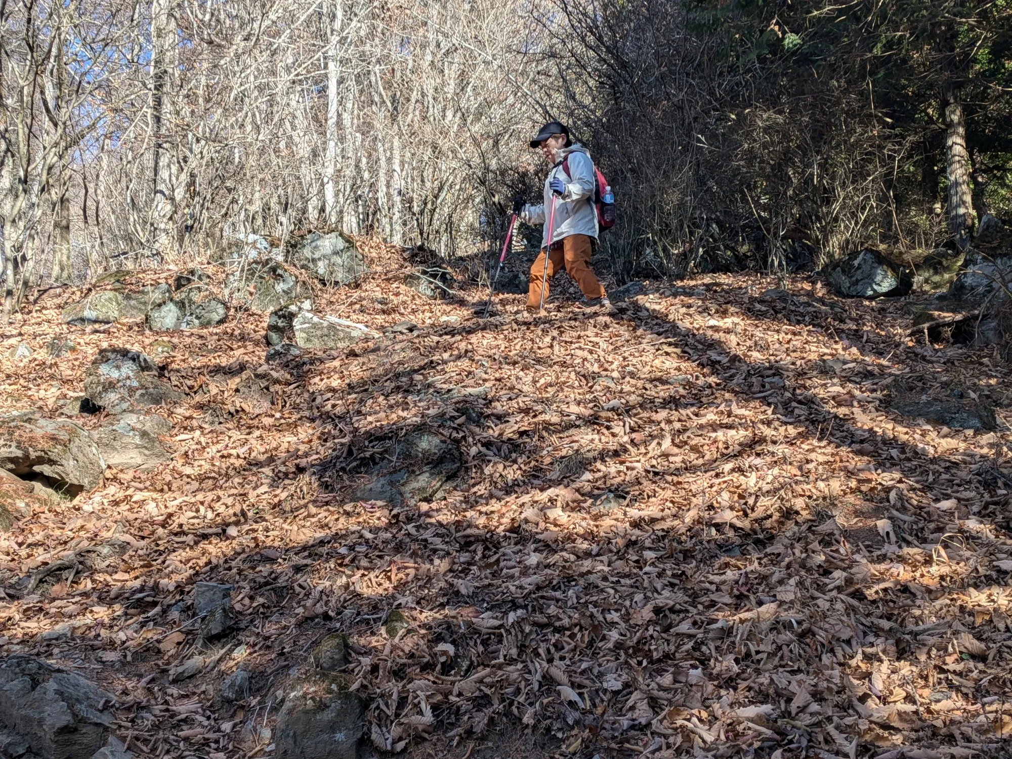 たむら鍼灸整骨院のイメージ