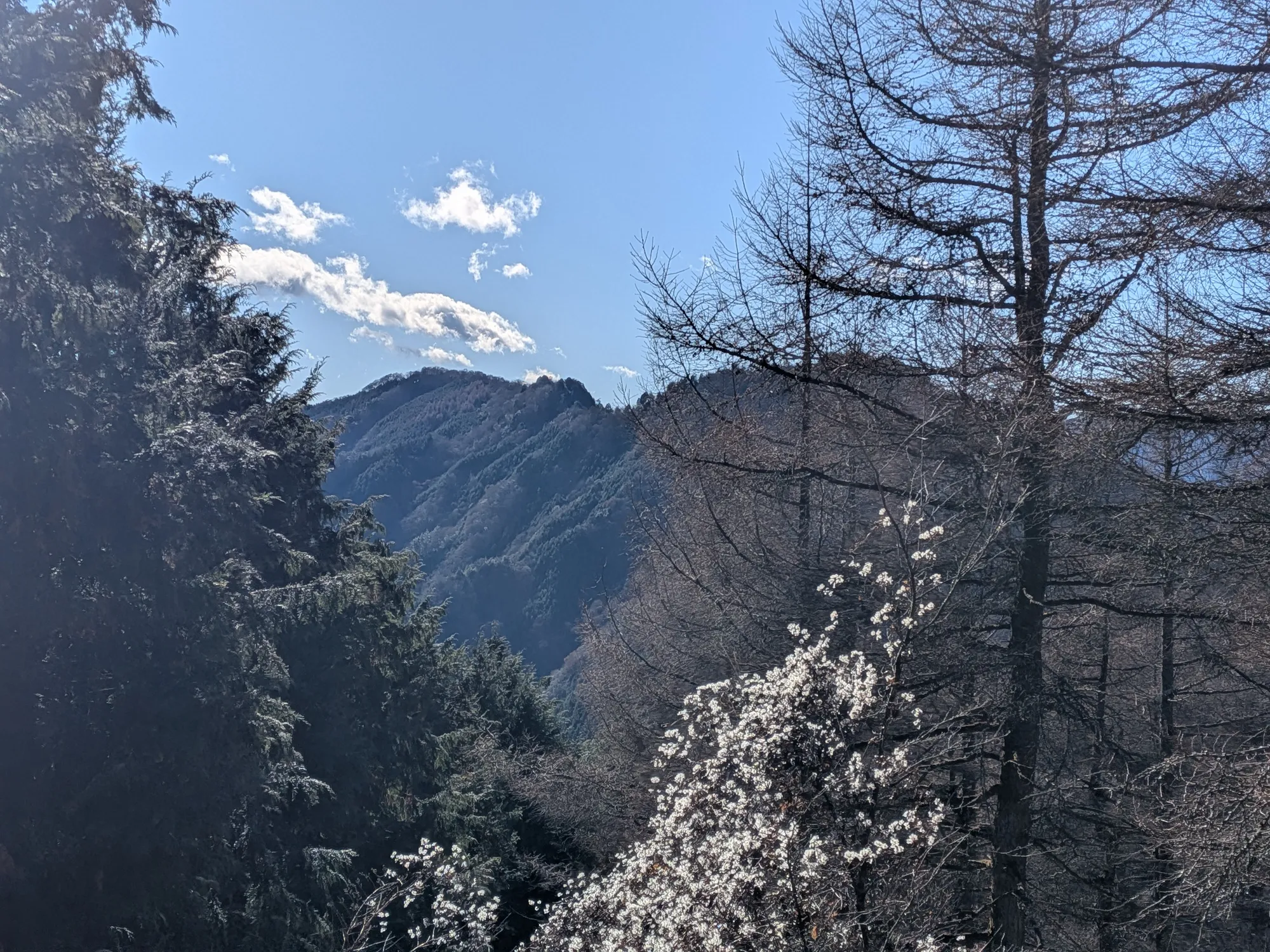 たむら鍼灸整骨院のイメージ