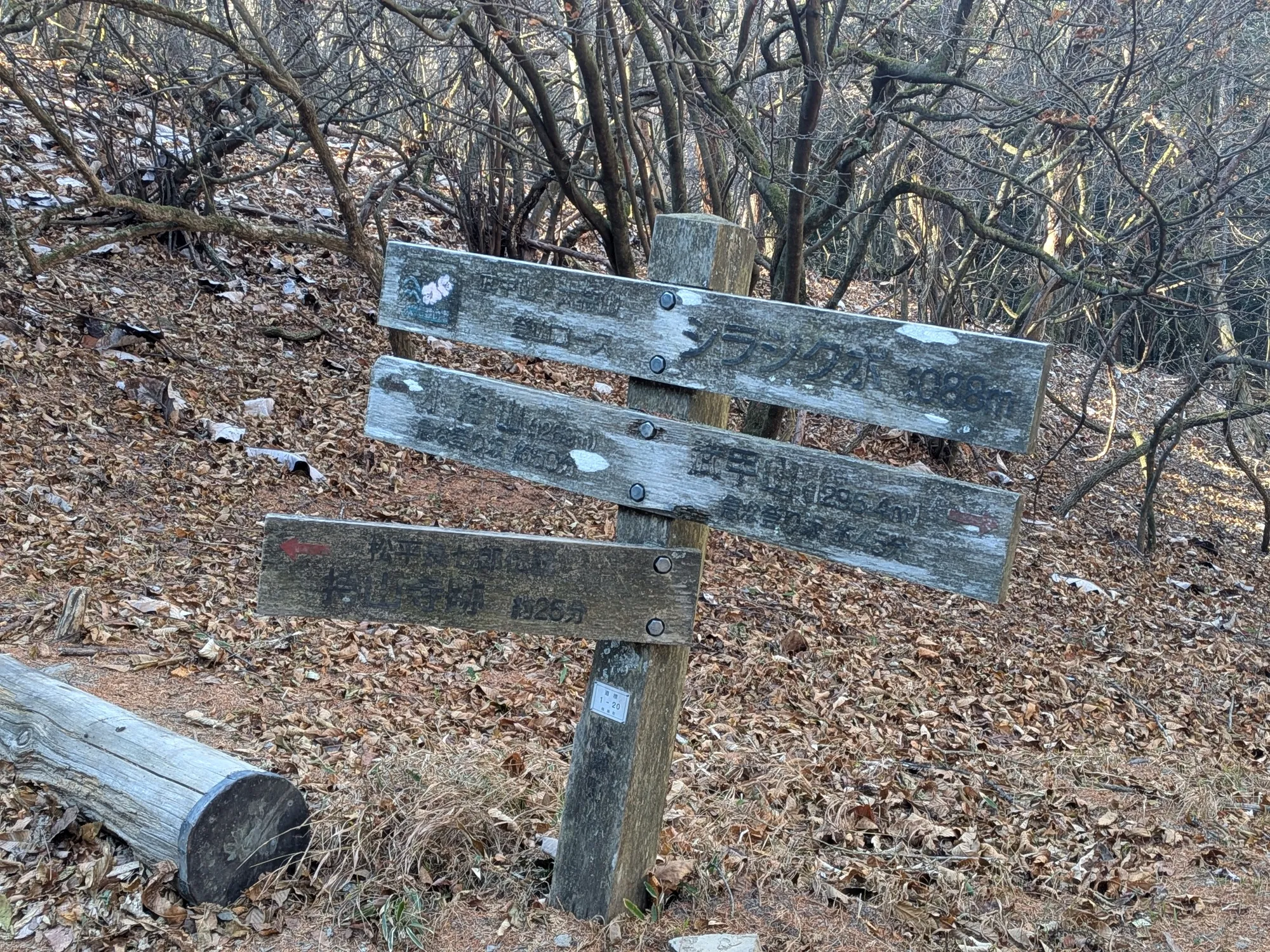 たむら鍼灸整骨院のイメージ