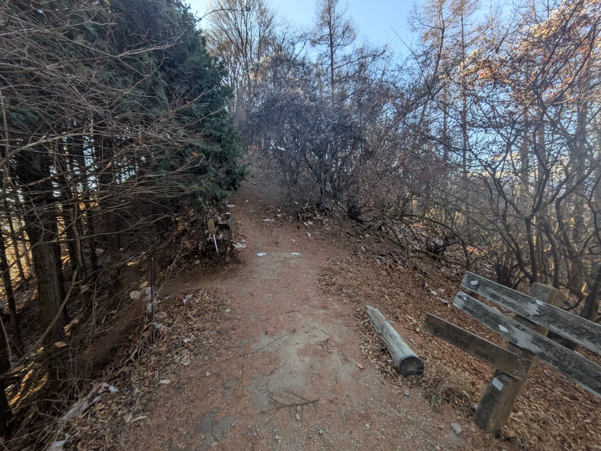 たむら鍼灸整骨院のイメージ