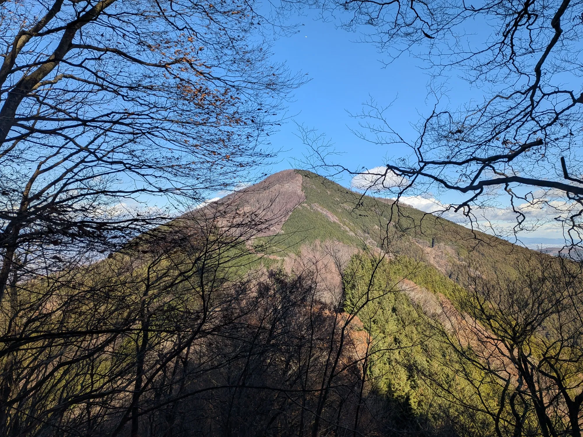 たむら鍼灸整骨院のイメージ