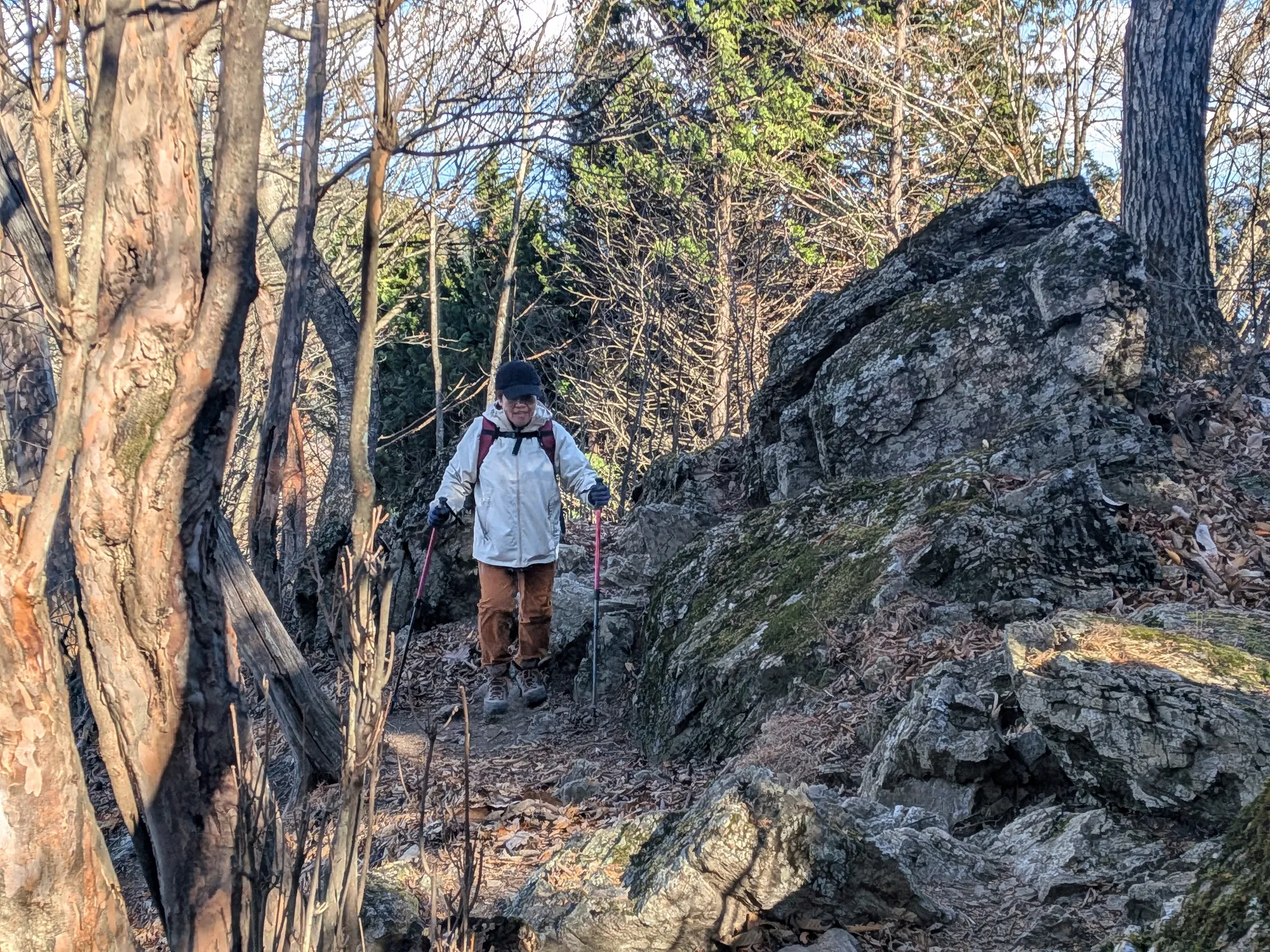 たむら鍼灸整骨院のイメージ