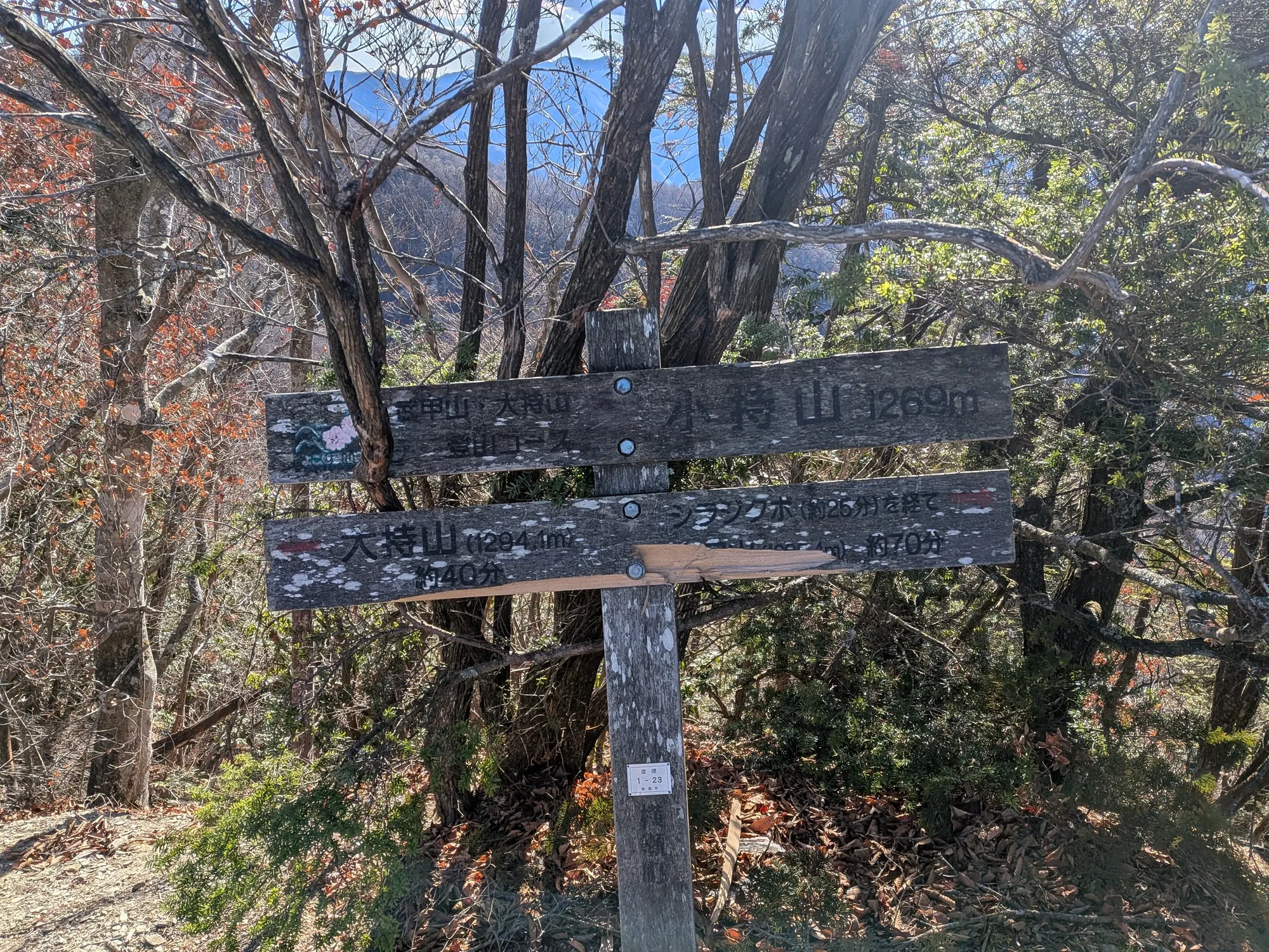 たむら鍼灸整骨院のイメージ