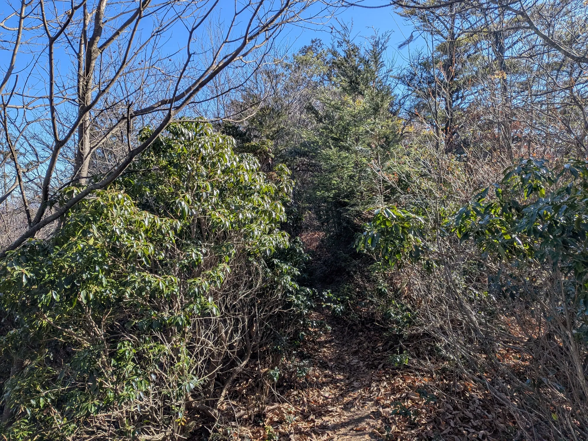 たむら鍼灸整骨院のイメージ