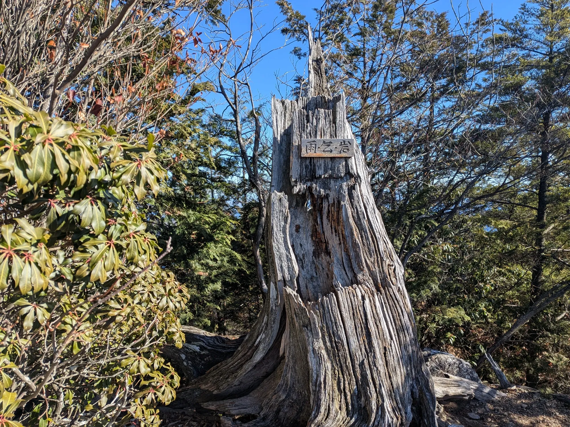 たむら鍼灸整骨院のイメージ