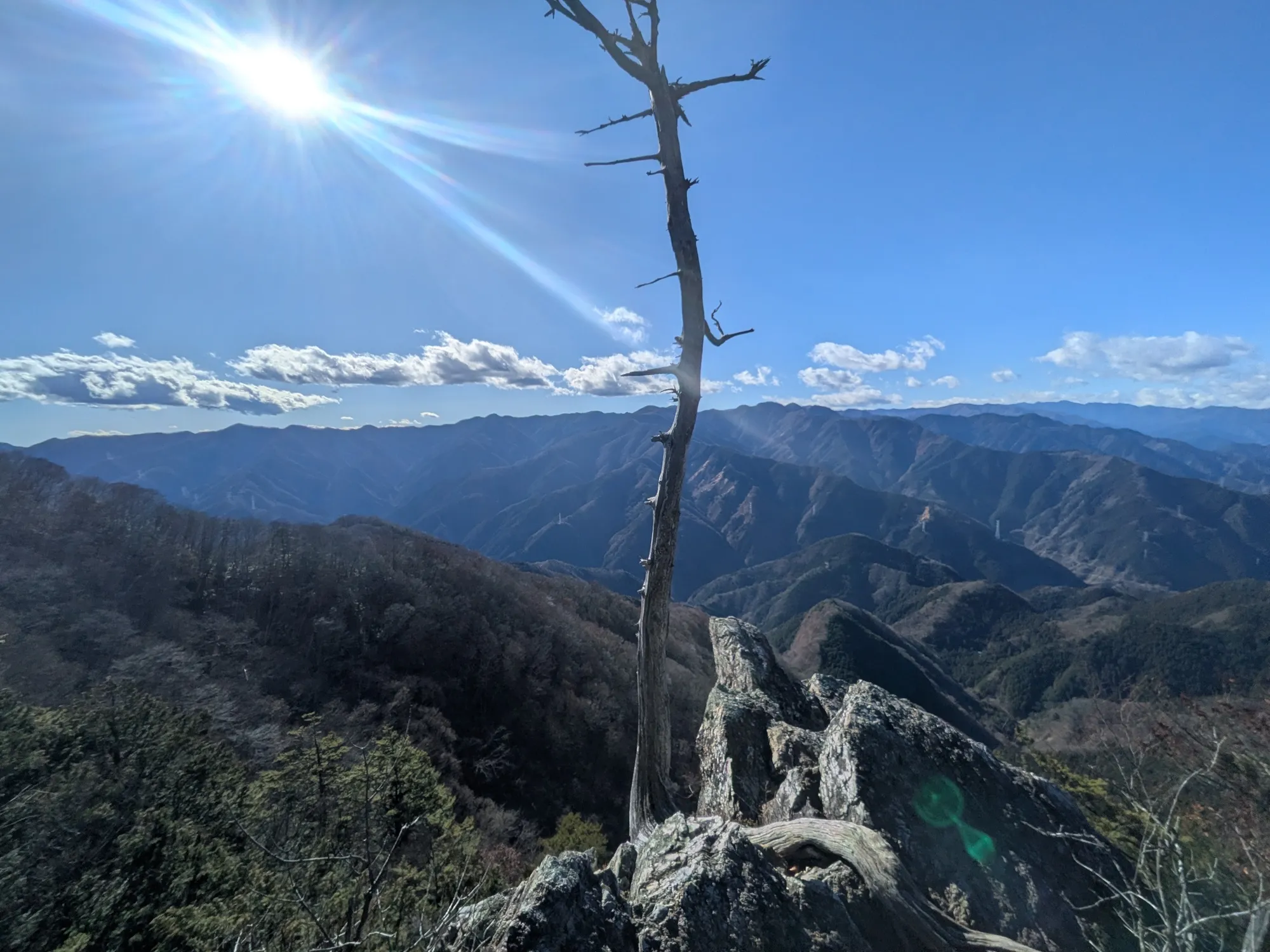 たむら鍼灸整骨院のイメージ