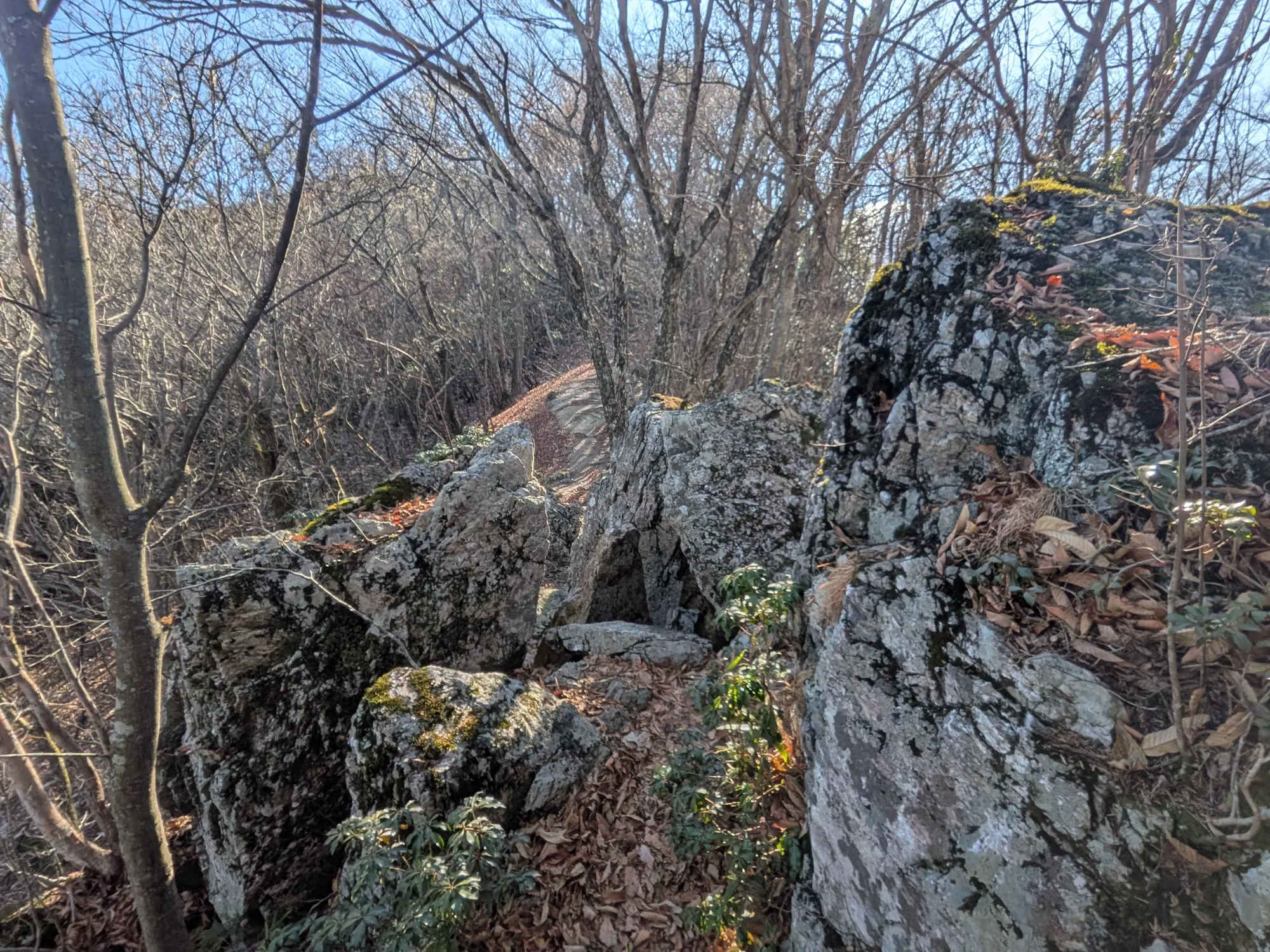 たむら鍼灸整骨院のイメージ