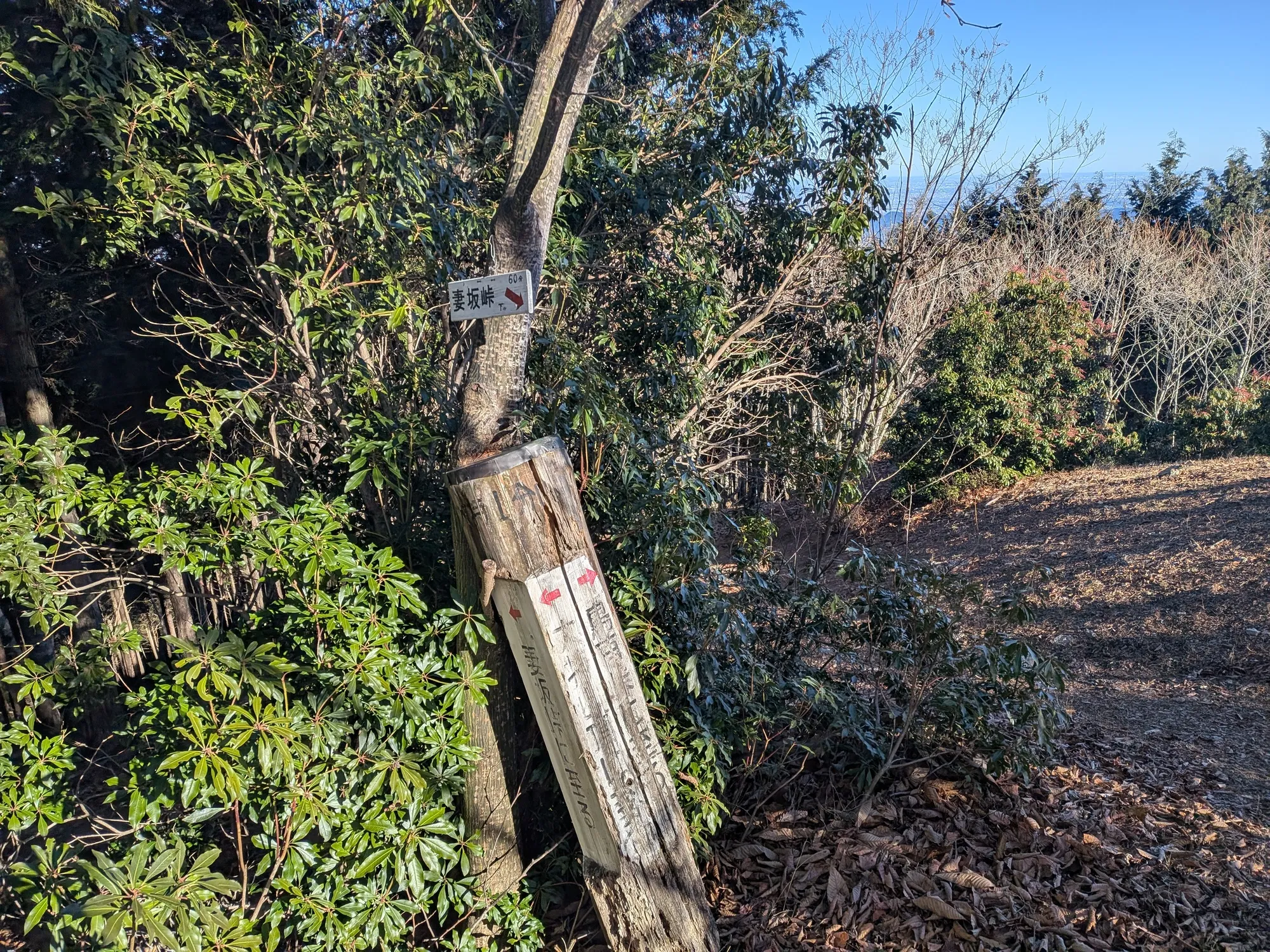 たむら鍼灸整骨院のイメージ