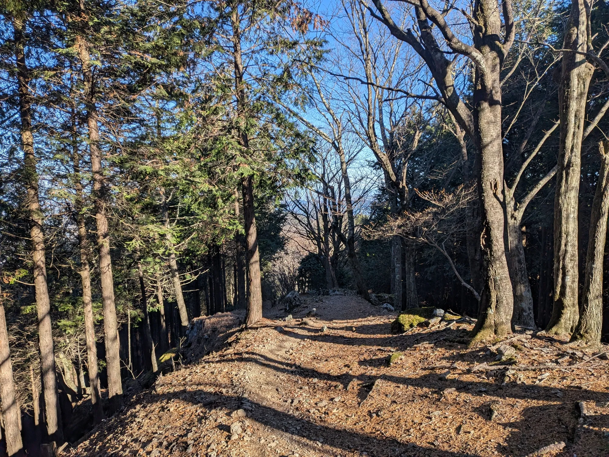 たむら鍼灸整骨院のイメージ