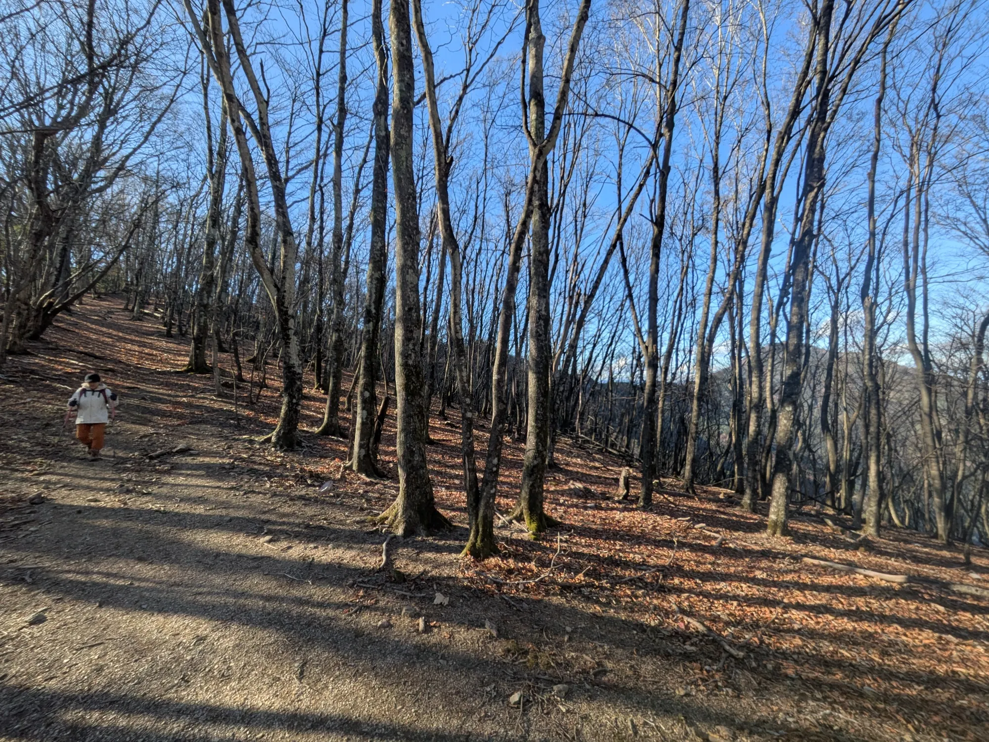 たむら鍼灸整骨院のイメージ