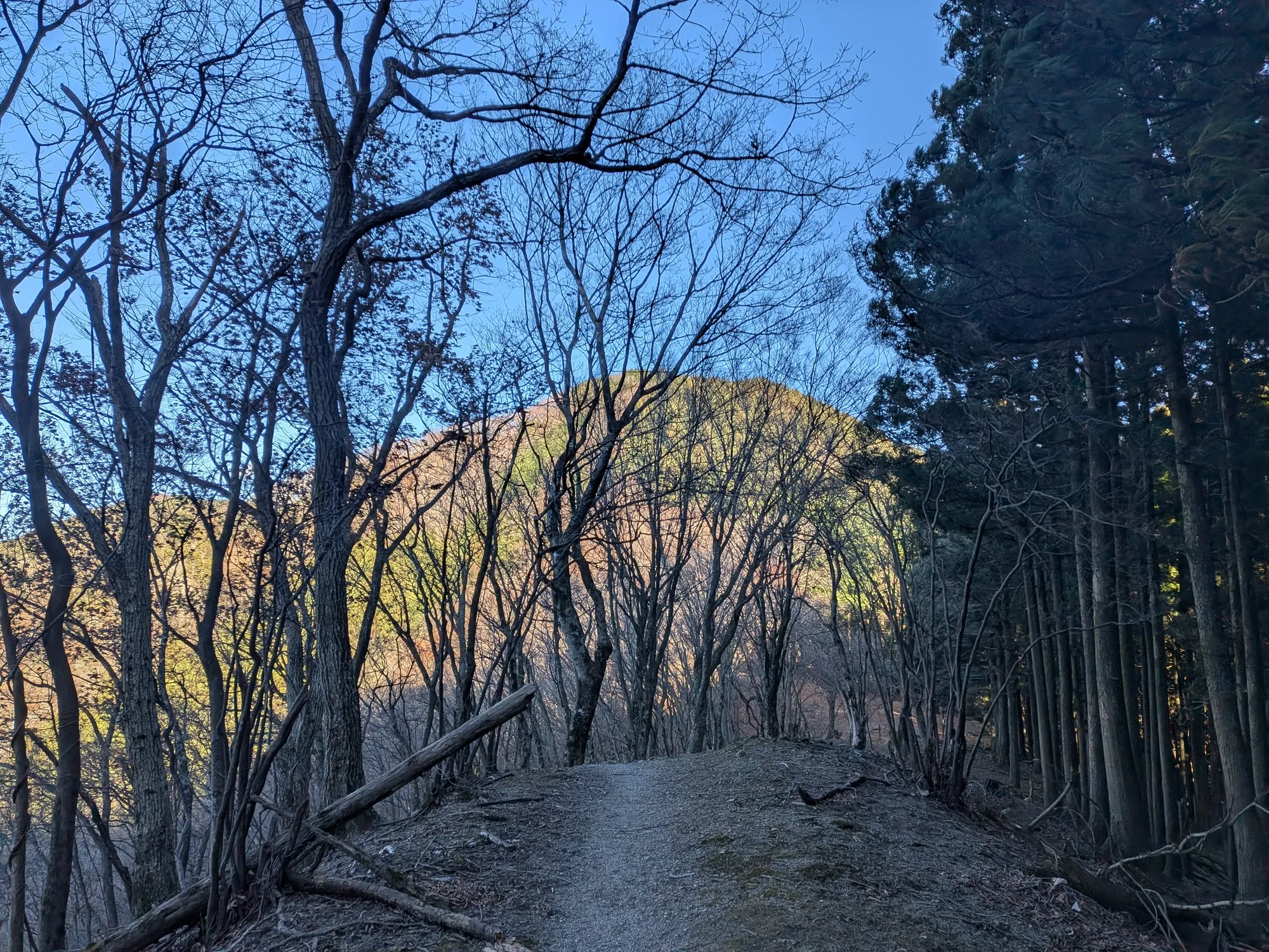 たむら鍼灸整骨院のイメージ