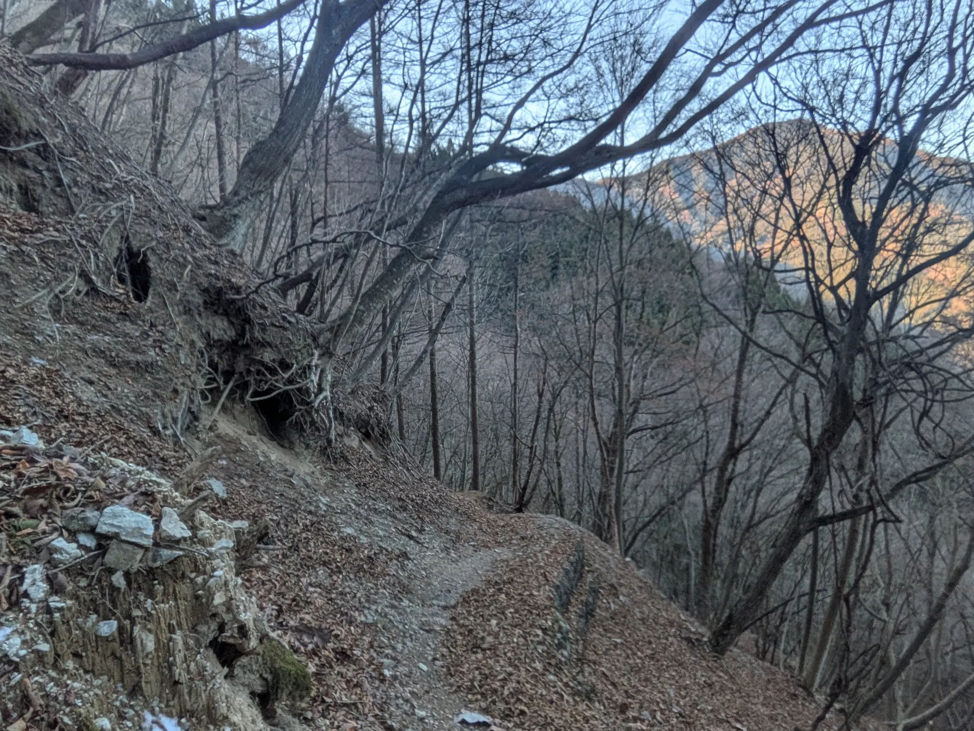 たむら鍼灸整骨院のイメージ